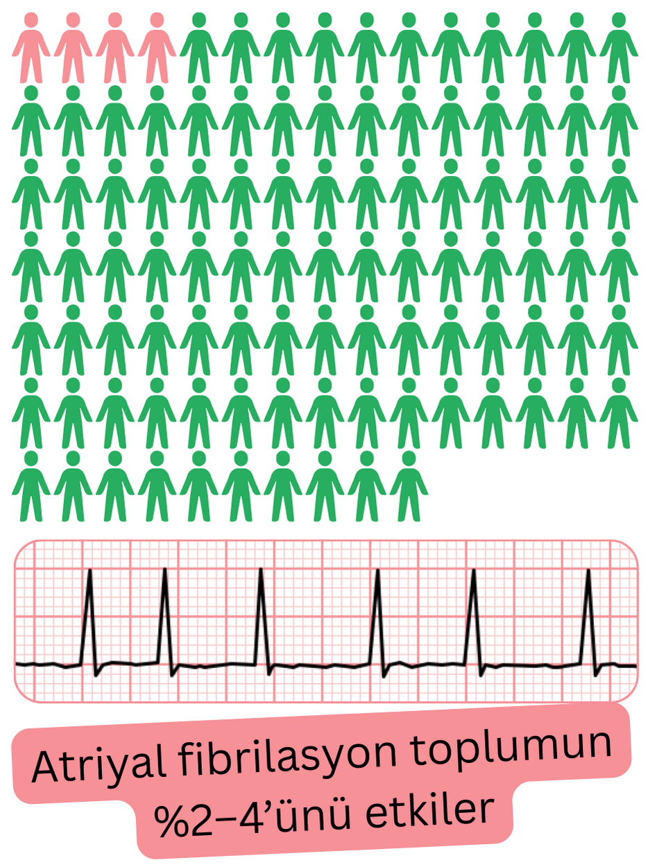 Genel popülasyonda atriyal fibrilasyon prevalansının yaklaşık %2–4 olduğunu gösteren infografik.