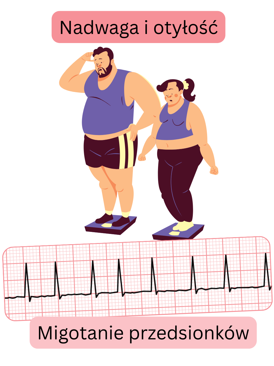 Ilustracja przedstawiająca nadwagę i otyłość jako istotne czynniki ryzyka migotania przedsionków wraz z zapisem EKG arytmii.
