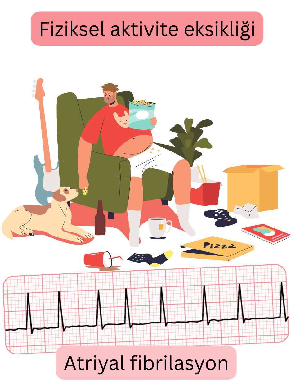 Fiziksel aktivite eksikliğinin atriyal fibrilasyon için bir risk faktörü olduğunu ve aritminin EKG kaydını gösteren illüstrasyon.