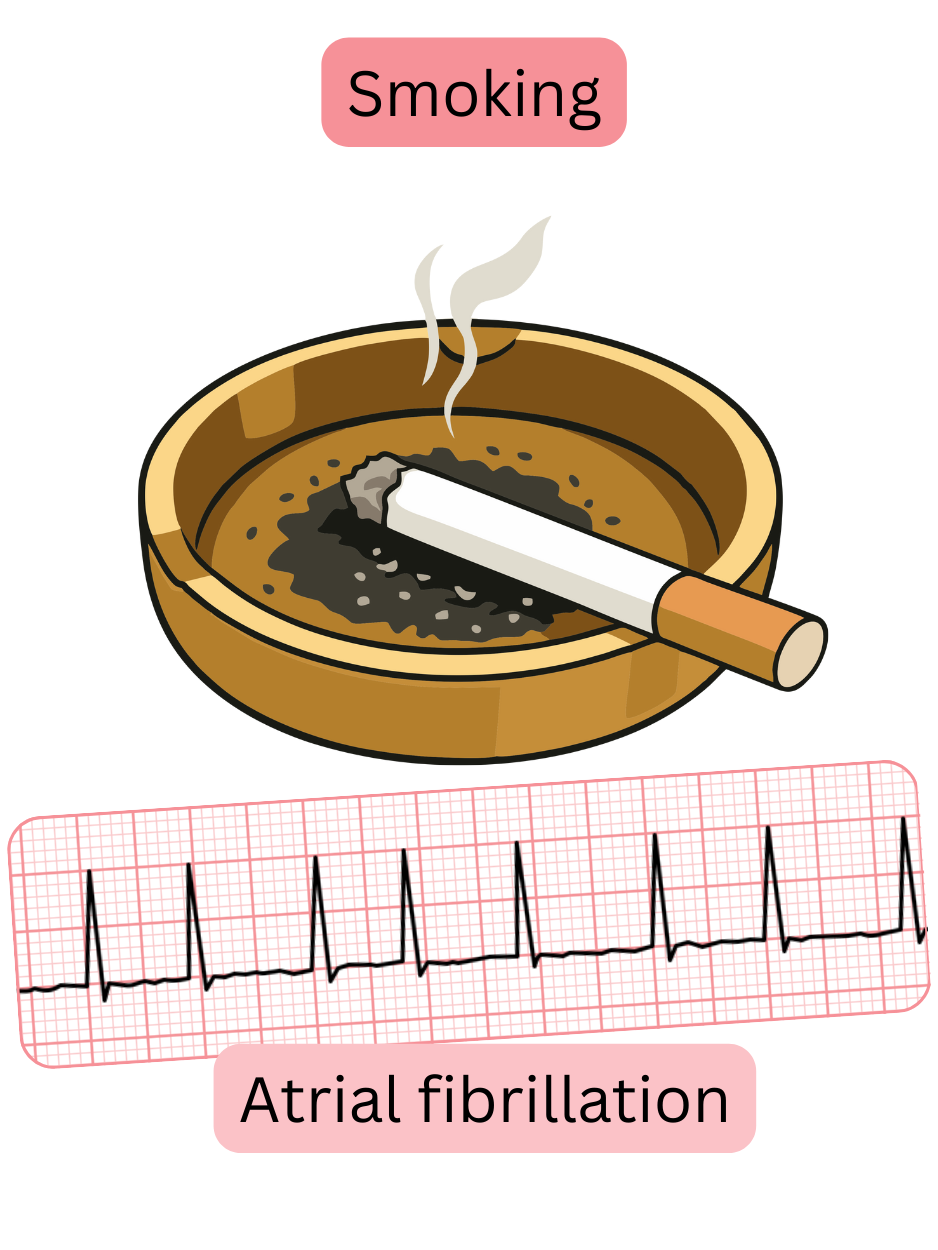 Illustration depicting smoking as a significant risk factor for atrial fibrillation with an ECG recording of the arrhythmia.