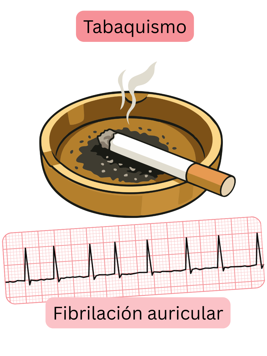Ilustración que muestra el tabaquismo como un factor de riesgo importante de la fibrilación auricular, con un registro ECG de la arritmia.