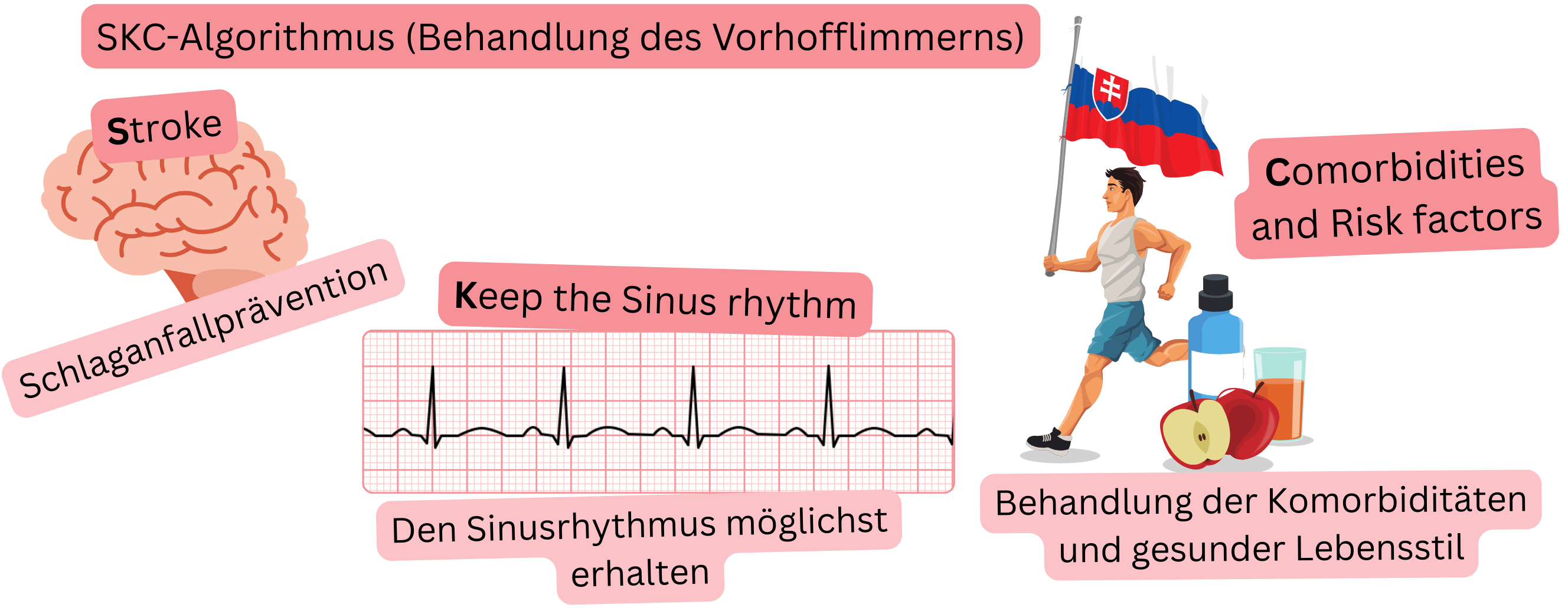 Infografik zur Darstellung des SKC-Therapiealgorithmus bei Vorhofflimmern mit Fokus auf Schlaganfallprävention, Erhalt des Sinusrhythmus sowie Behandlung von Komorbiditäten und Risikofaktoren.