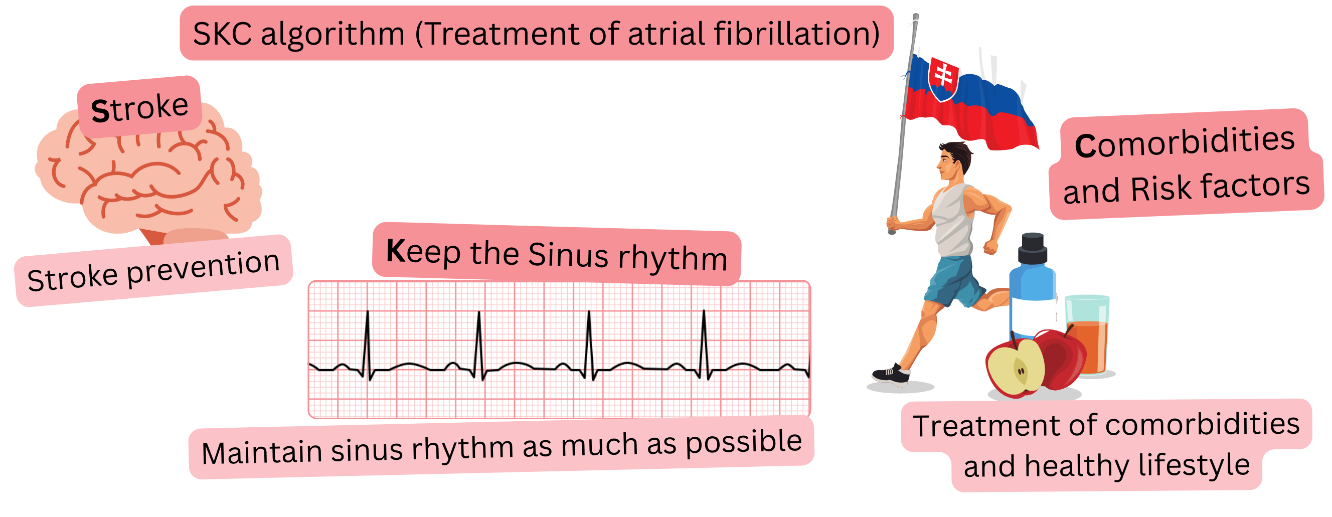 Infographic illustrating the SKC treatment algorithm for atrial fibrillation focused on stroke prevention, maintenance of sinus rhythm, and management of comorbidities and risk factors.