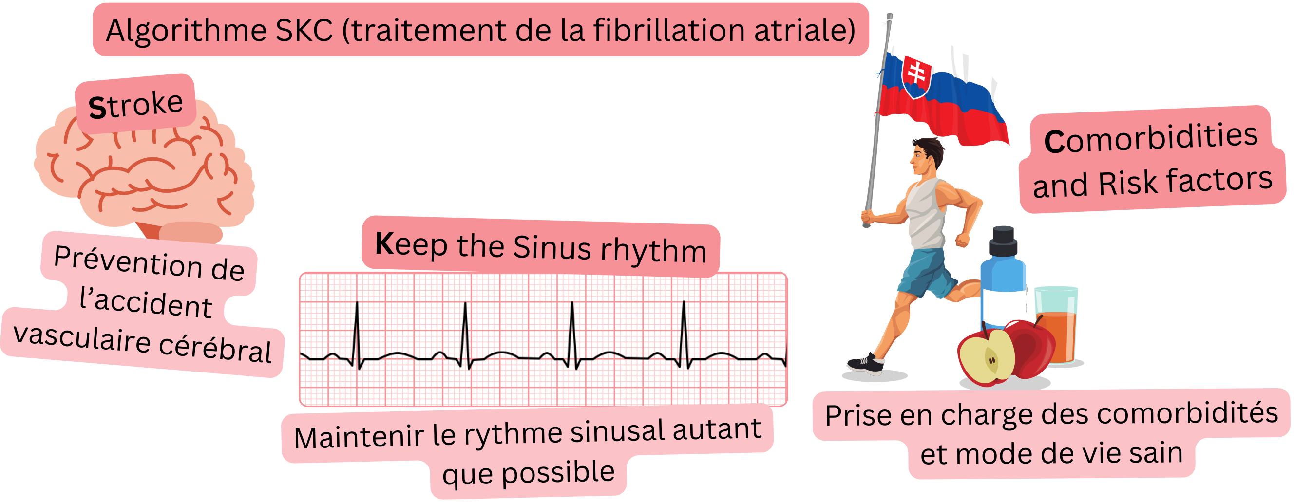 Infographie illustrant l’algorithme thérapeutique SKC de la fibrillation atriale, axé sur la prévention de l’AVC, le maintien du rythme sinusal et la prise en charge des comorbidités et facteurs de risque.