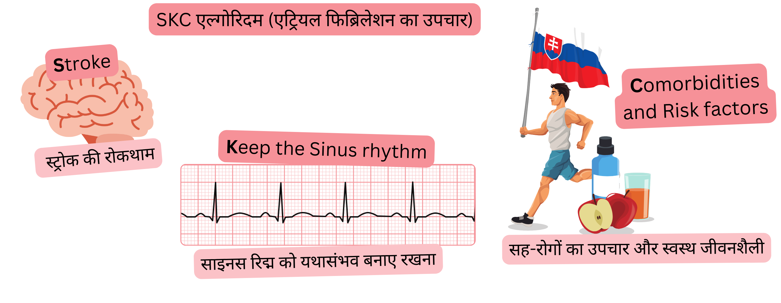 इन्फोग्राफिक जो एट्रियल फिब्रिलेशन के लिए SKC उपचार एल्गोरिदम को दर्शाता है, जिसका उद्देश्य स्ट्रोक की रोकथाम, साइनस रिद्म बनाए रखना और सह-रोगों व जोखिम कारकों का उपचार है।