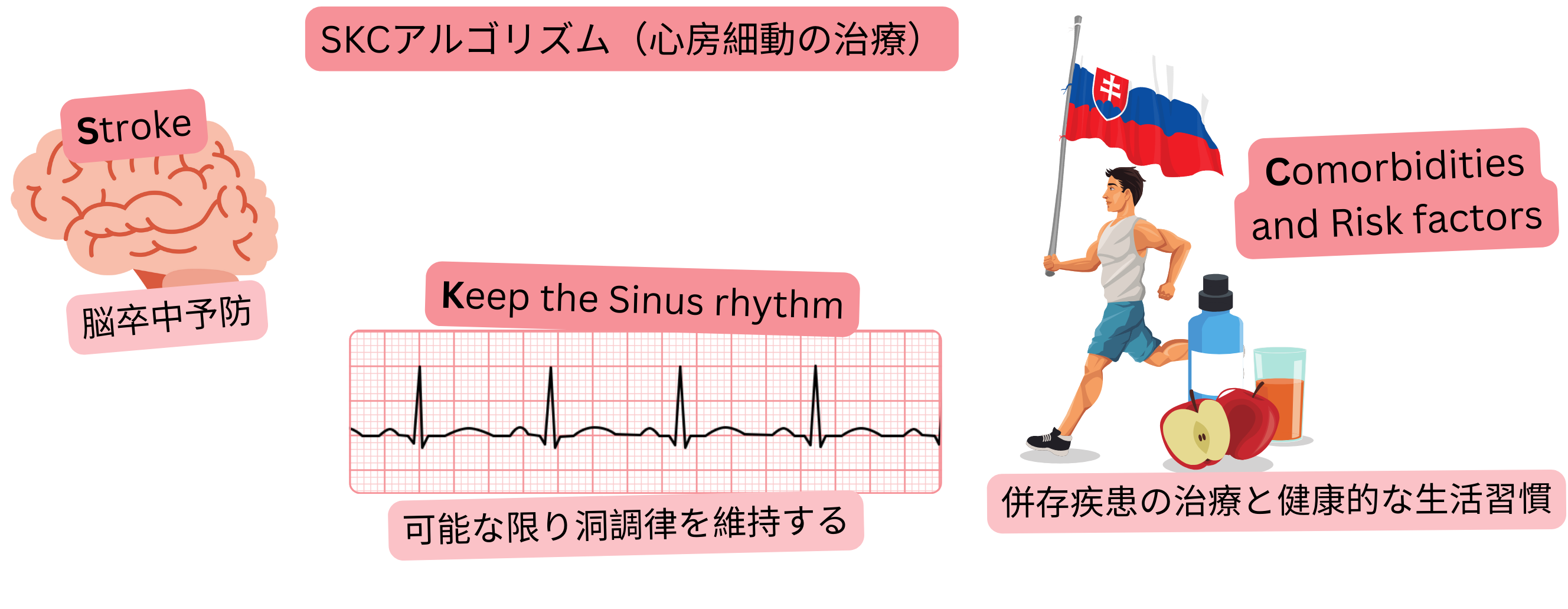 脳卒中予防、洞調律の維持、併存疾患および危険因子の管理に焦点を当てた心房細動SKC治療アルゴリズムを示すインフォグラフィック。