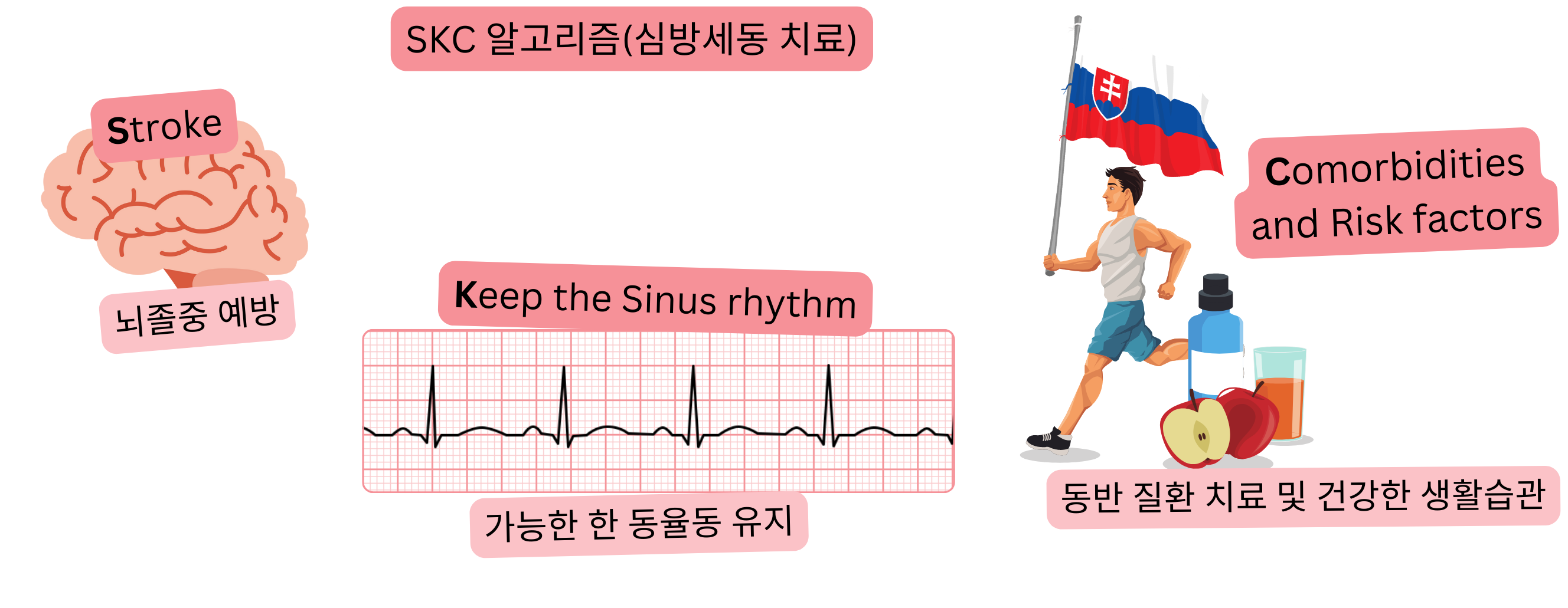뇌졸중 예방, 동율동 유지, 동반 질환 및 위험 요인 관리를 목표로 하는 심방세동 SKC 치료 알고리즘을 보여주는 인포그래픽.
