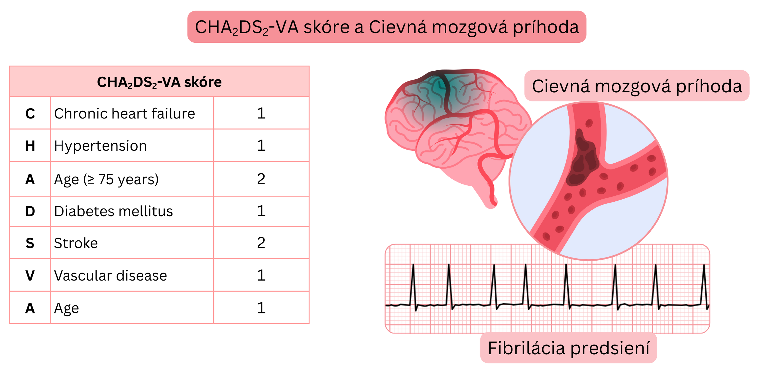 Infografika znázorňujúca skóre CHA₂DS₂-VA s jednotlivými rizikovými faktormi a jeho vzťah k riziku cievnej mozgovej príhody pri fibrilácii predsiení.