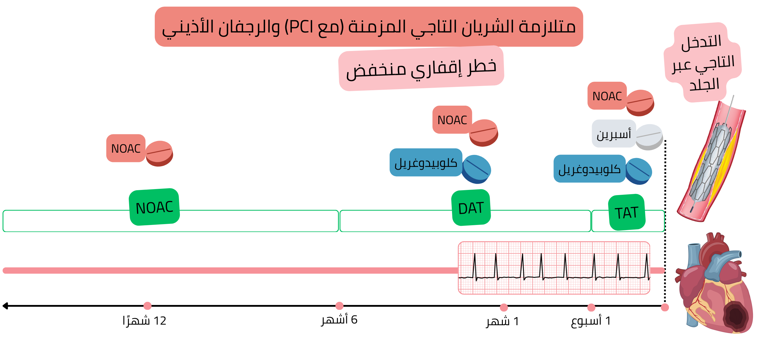 إنفوجرافيك يوضح استراتيجية العلاج المضاد للتخثر لدى مرضى المتلازمة التاجية المزمنة بعد التدخل التاجي عبر الجلد مع الرجفان الأذيني وخطر إقفاري منخفض، مع الانتقال من العلاج الثلاثي إلى الثنائي ثم إلى العلاج الأحادي بمضادات التخثر الفموية الحديثة.