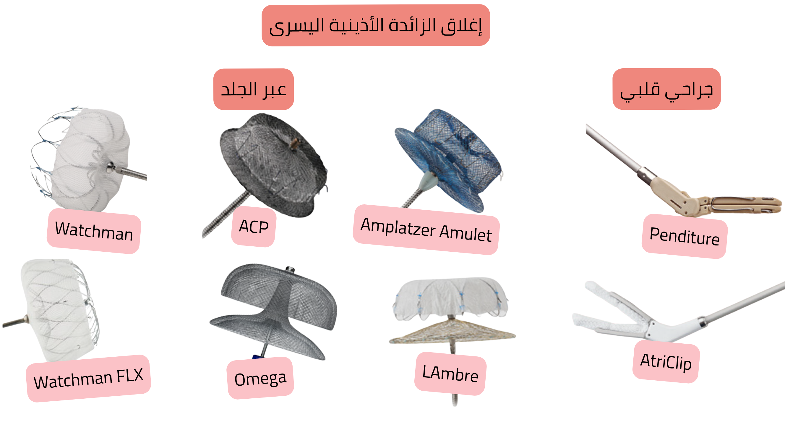 رسم توضيحي يبيّن إغلاق زائدة الأذين الأيسر باستخدام الأجهزة عبر الجلد Watchman وWatchman FLX وACP وAmplatzer Amulet وLAMBRE وOmega، إضافةً إلى الأنظمة الجراحية القلبية AtriClip وPendiTure، للوقاية من الخثار الصمّي لدى مرضى الرجفان الأذيني.