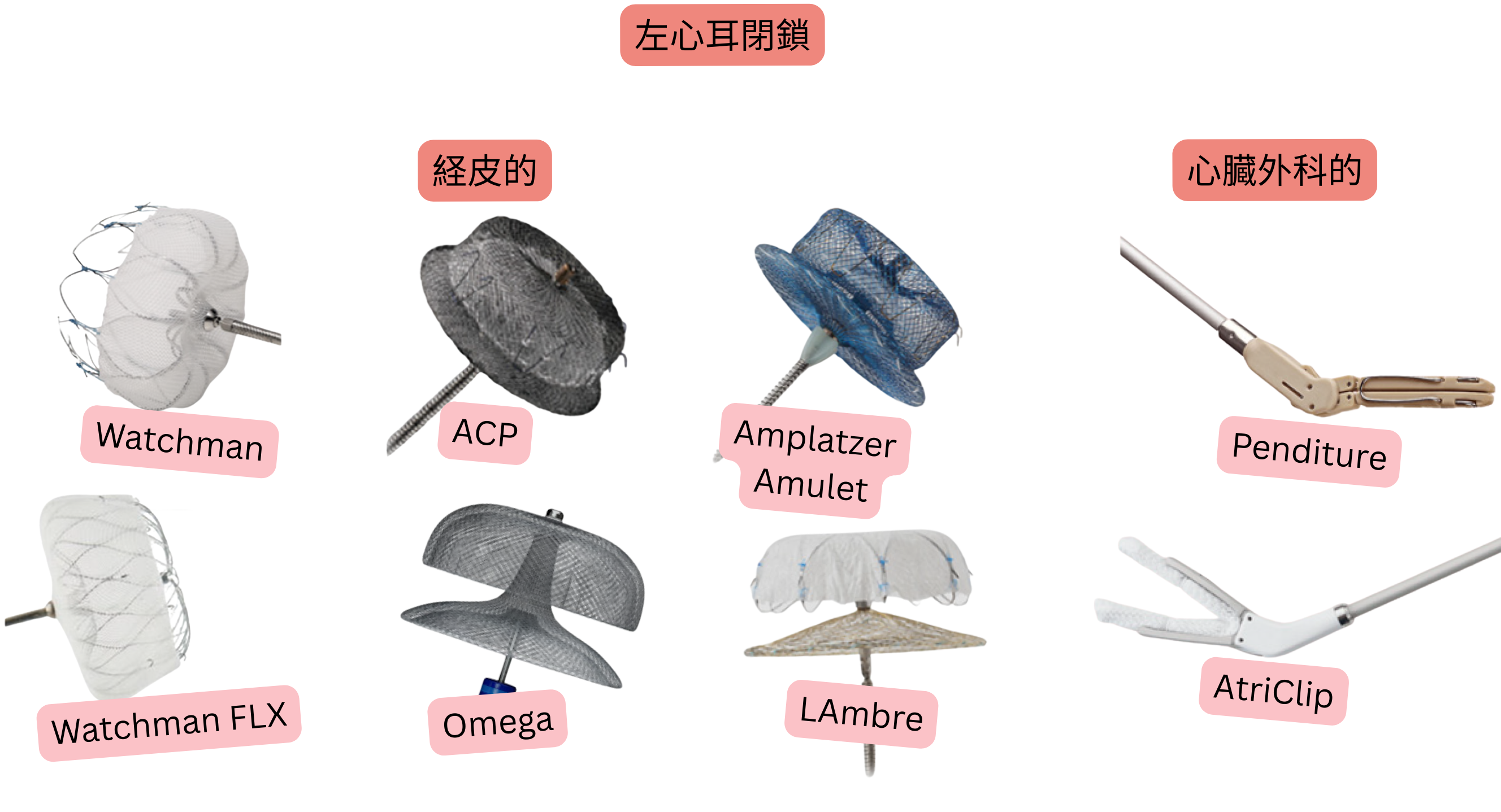 心房細動患者における血栓塞栓症予防のため、Watchman、Watchman FLX、ACP、Amplatzer Amulet、LAMBRE、Omega などの経皮的デバイスおよび AtriClip、PendiTure の心臓外科システムを用いた左心耳閉鎖を示す図。