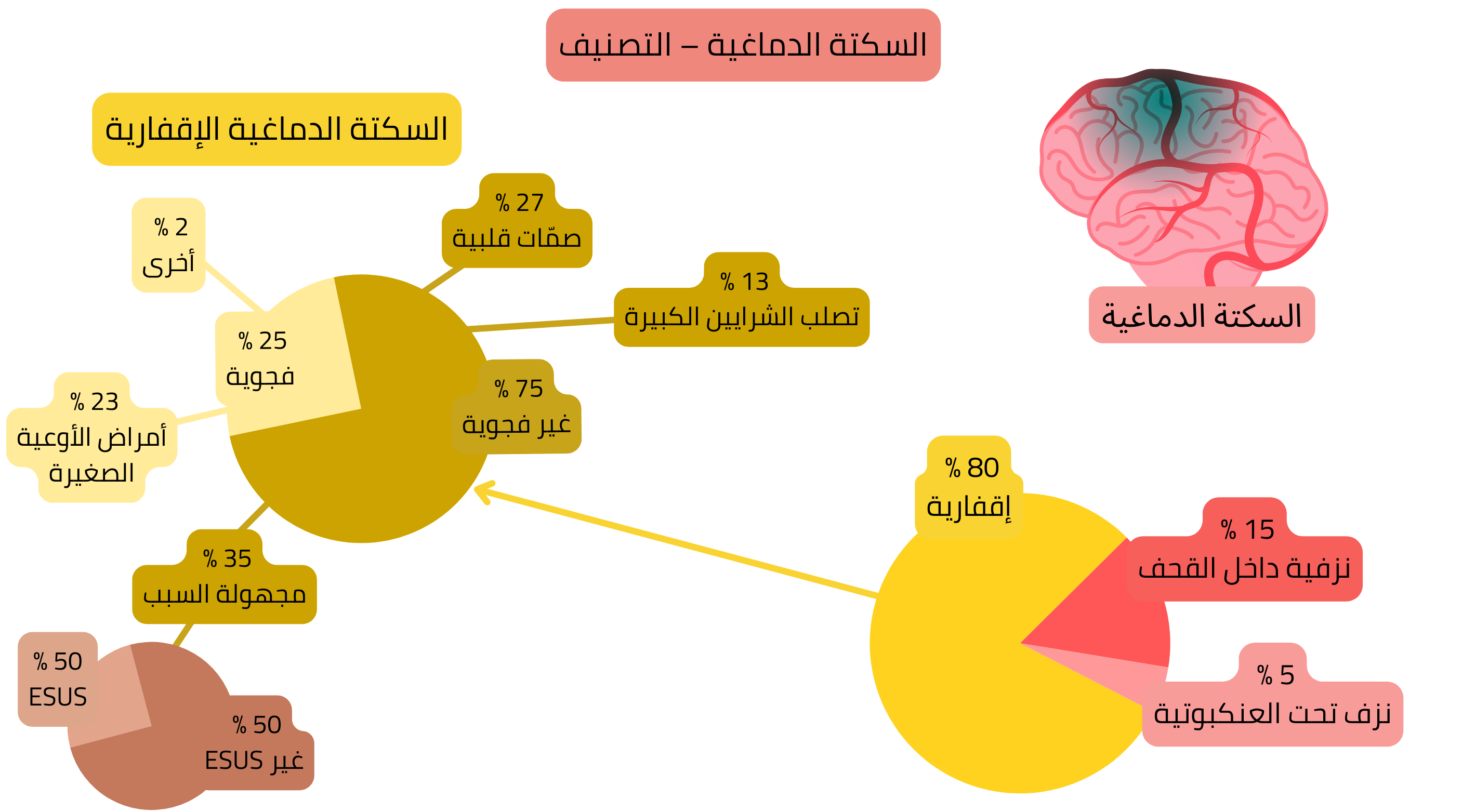 إنفوجرافيك يوضح تصنيف السكتة الدماغية إلى إقفارية ونزفية، مع تصنيف تفصيلي للسكتة الإقفارية حسب آلية الحدوث، بما في ذلك اللاكونية، القلبية الصمية، تصلب الشرايين الكبيرة، السكتة مجهولة السبب وESUS.