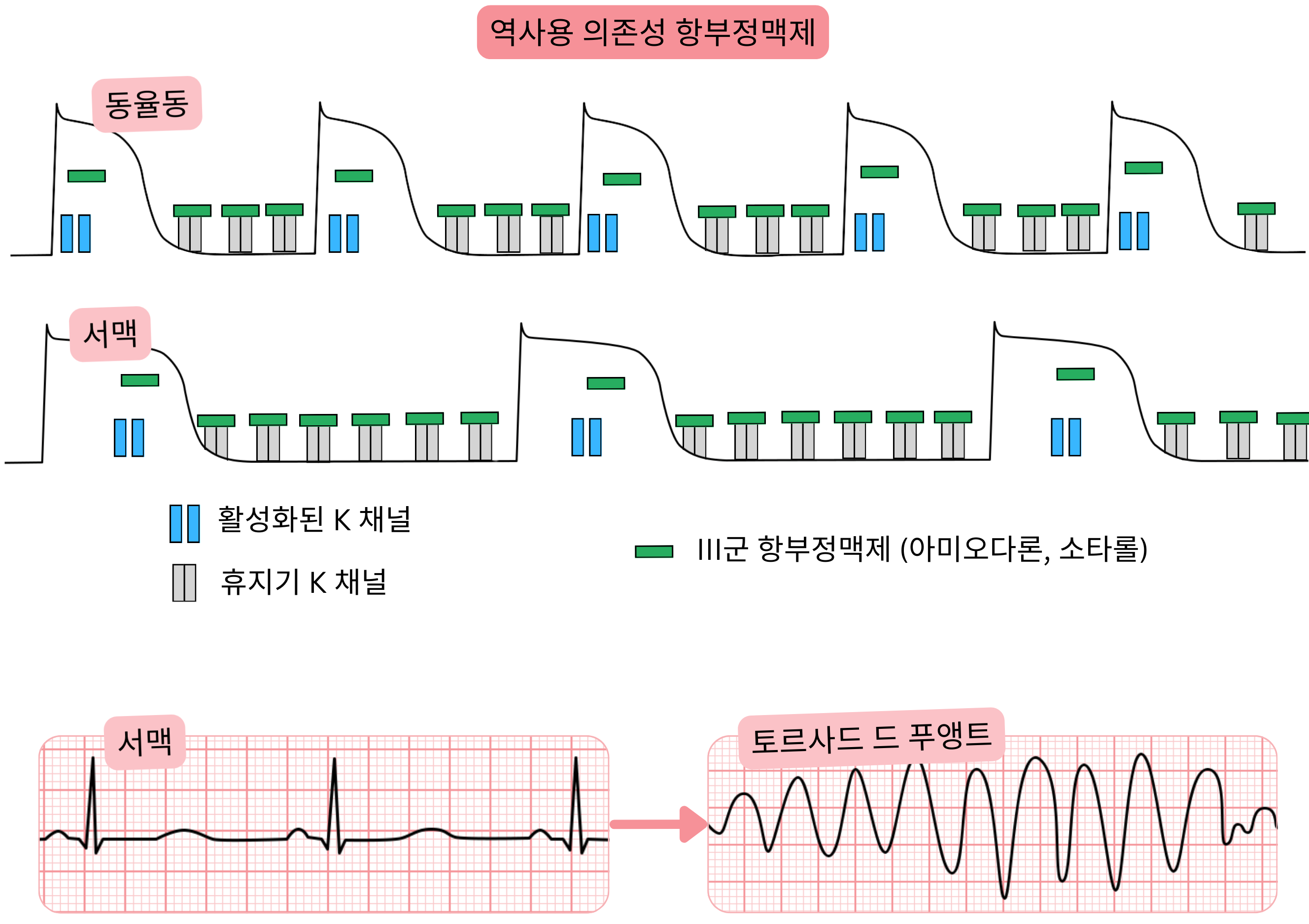 III군 항부정맥제의 역사용 의존성을 나타낸 도식으로, 서맥에서 칼륨 채널 차단이 더욱 뚜렷해져 활동전위와 QT 간격이 연장되고 torsades de pointes 위험이 증가함을 보여준다.