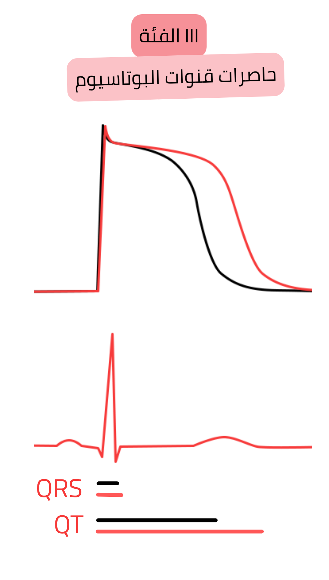 مخطط تأثير مضادات اضطراب النظم من الفئة III — حاصرات قنوات البوتاسيوم — يوضح إطالة إعادة الاستقطاب لجهد الفعل وفترة QT على تخطيط القلب مع بقاء عرض مركب QRS دون تغيير.