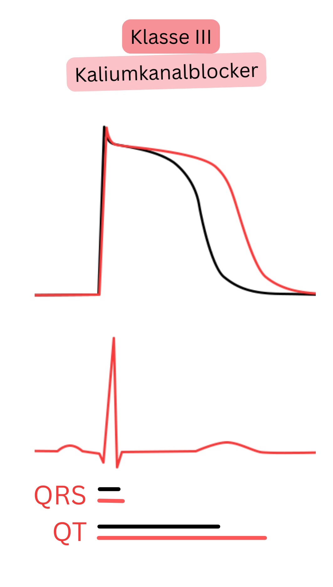 Schema der Wirkung von Antiarrhythmika der Klasse III — Kaliumkanalblockern — mit Darstellung der Verlängerung der Repolarisation des Aktionspotenzials und des QT-Intervalls im EKG bei unveränderter QRS-Komplexbreite.