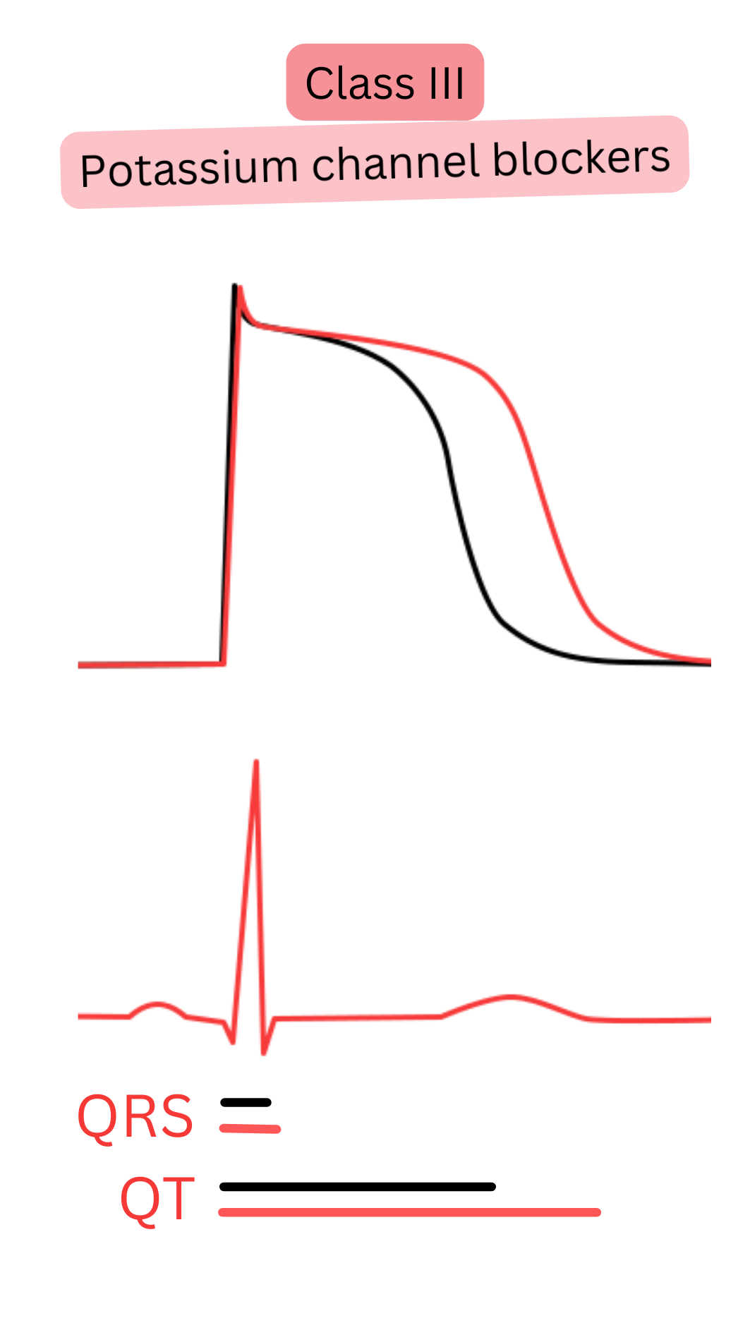 Diagram of the effect of class III antiarrhythmic drugs—potassium channel blockers—illustrating prolongation of action potential repolarization and the QT interval on ECG with unchanged QRS complex duration.
