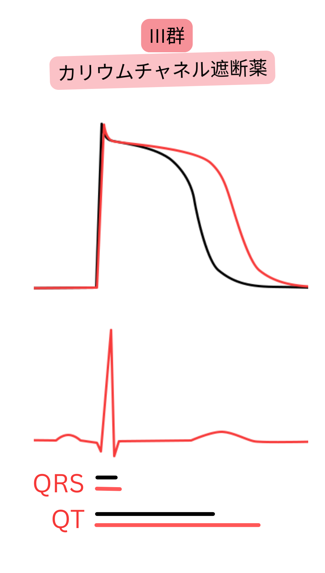III群抗不整脈薬であるカリウムチャネル遮断薬の作用を示す模式図で、活動電位の再分極およびQT間隔の延長を示し、QRS幅は変化しない。