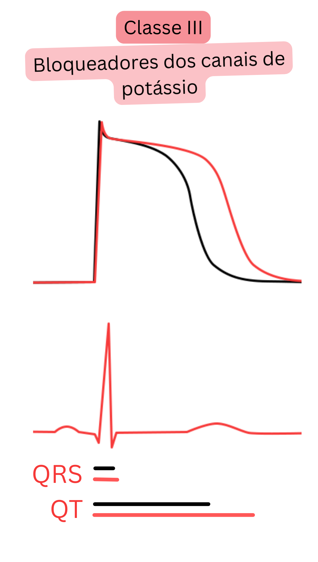 Esquema do efeito dos antiarrítmicos de classe III — bloqueadores dos canais de potássio — demonstrando o prolongamento da repolarização do potencial de ação e do intervalo QT no ECG, com duração do complexo QRS inalterada.