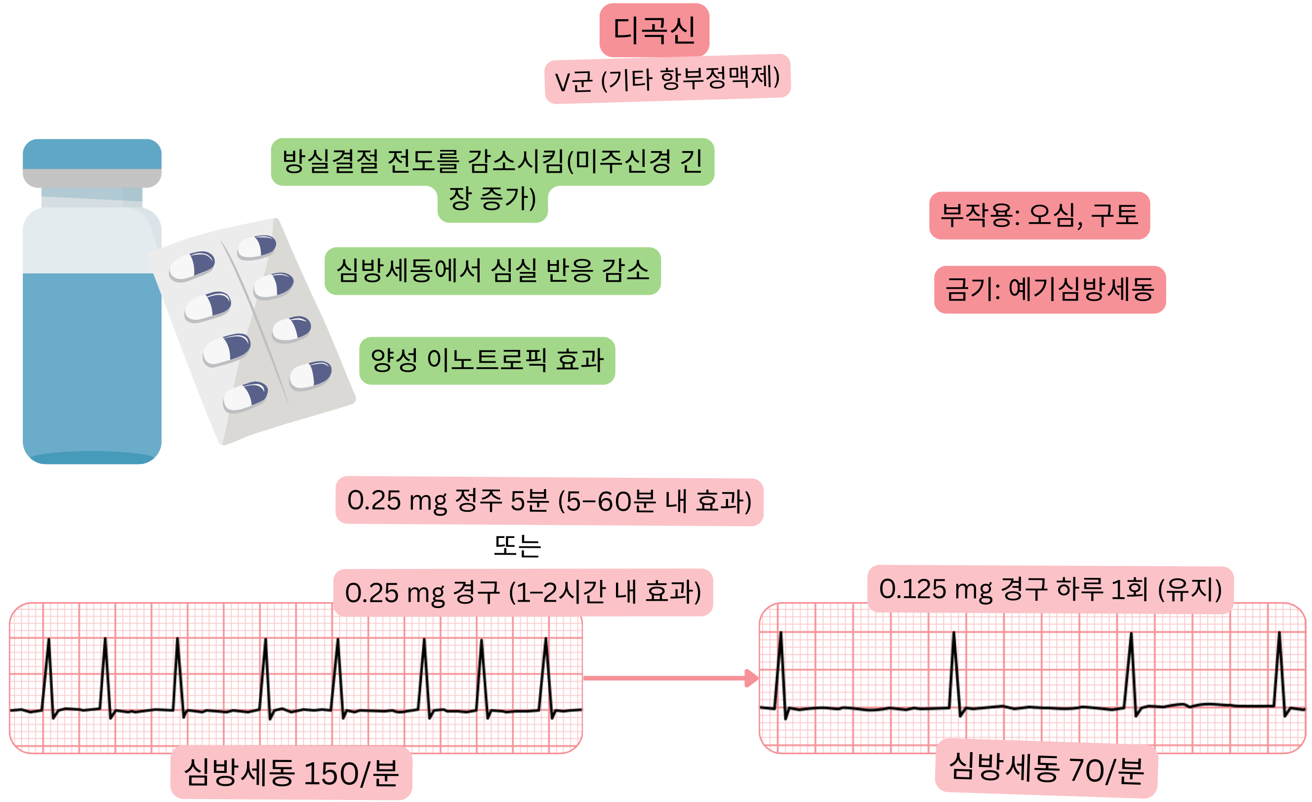 V군 항부정맥제로서 디곡신의 효과를 나타낸 도식으로, 미주신경 매개 방실결절 전도 지연, 심방세동에서 심실 반응 감소 및 양성 변력 효과를 보여준다.