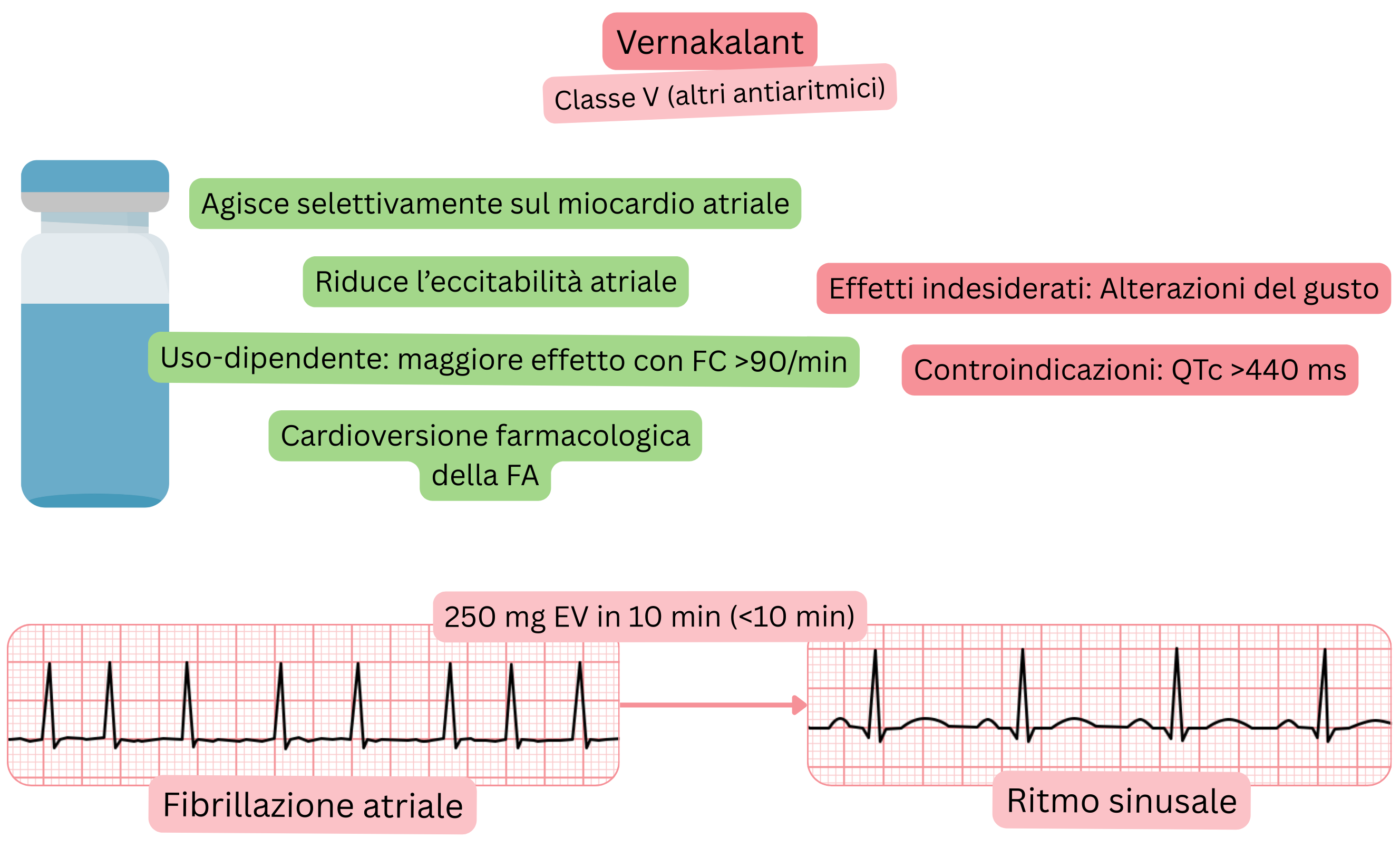 Schema dell’effetto del vernakalant come antiaritmico di classe V che illustra l’azione selettiva sul miocardio atriale, la riduzione dell’eccitabilità atriale e la cardioversione farmacologica della fibrillazione atriale al ritmo sinusale.
