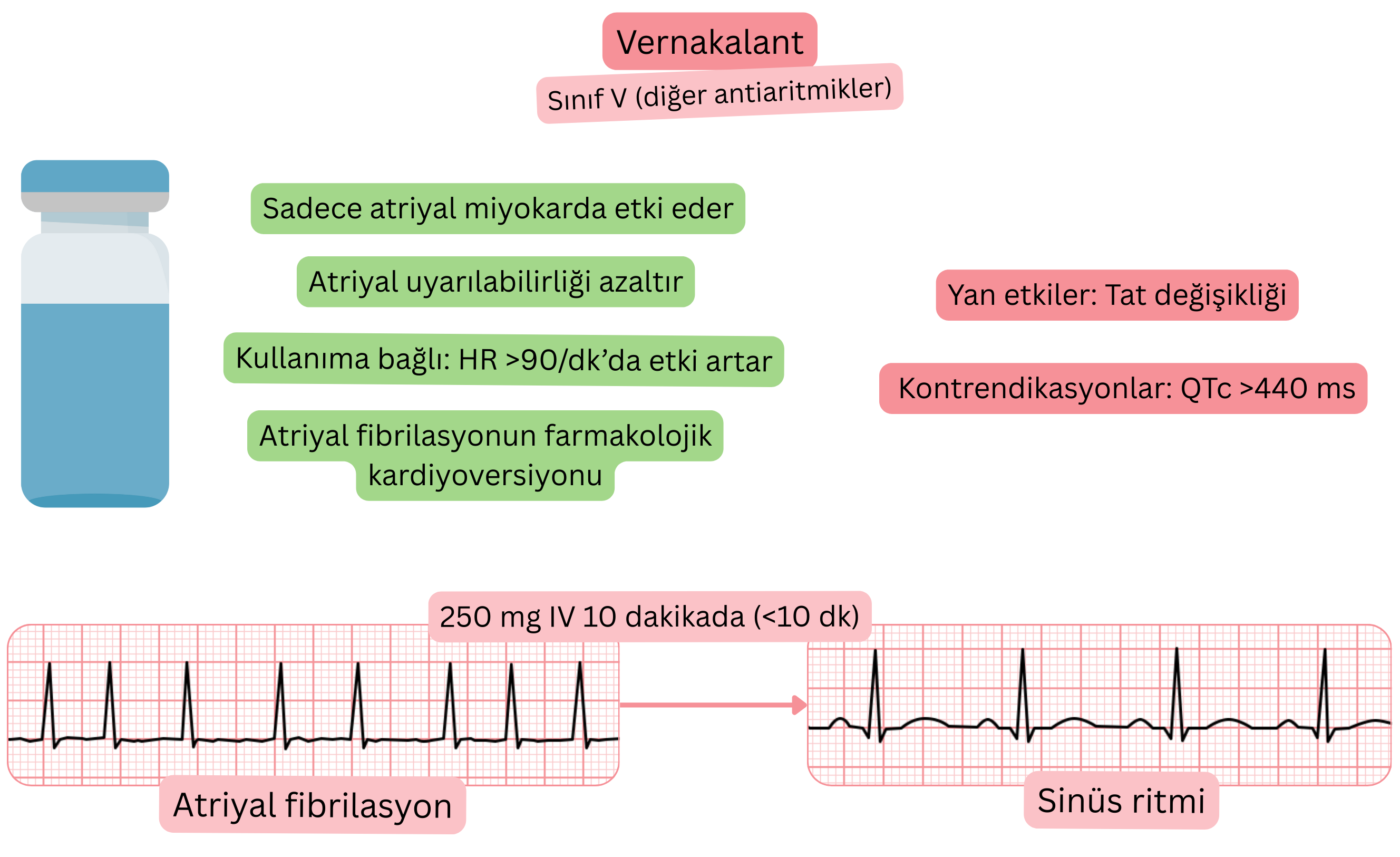 V sınıfı antiaritmik olarak vernakalantın etkisini gösteren şema; atriyal miyokard üzerine selektif etkiyi, atriyal uyarılabilirliğin azalmasını ve atriyal fibrilasyonun farmakolojik olarak sinüs ritmine kardiyoversiyonunu göstermektedir.