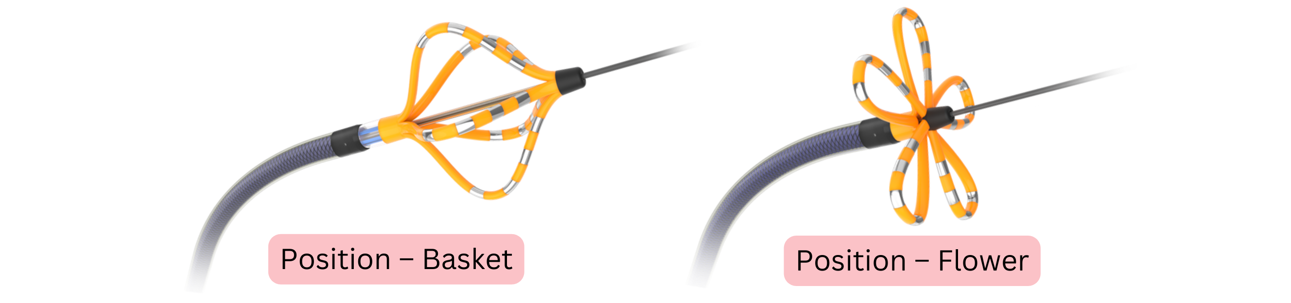 Diagram of an ablation catheter during atrial fibrillation ablation illustrating basket and flower catheter configurations used for pulmonary vein isolation.