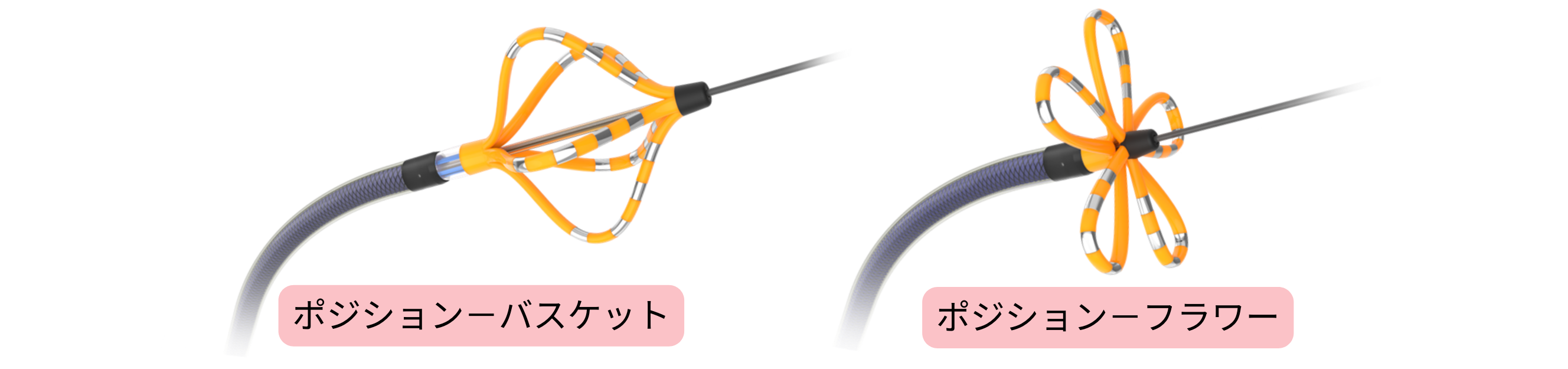 心房細動アブレーションにおけるアブレーションカテーテルの模式図で、肺静脈隔離に用いられるバスケット型およびフラワー型ポジションを示す。