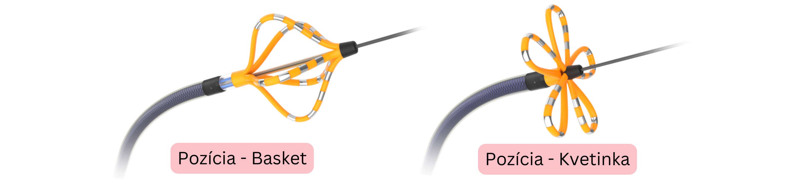 Schéma ablačného katétra pri ablácii fibrilácie predsiení znázorňujúca basketovú a kvetinkovú pozíciu katétra používanú pri izolácii pľúcnych žíl.