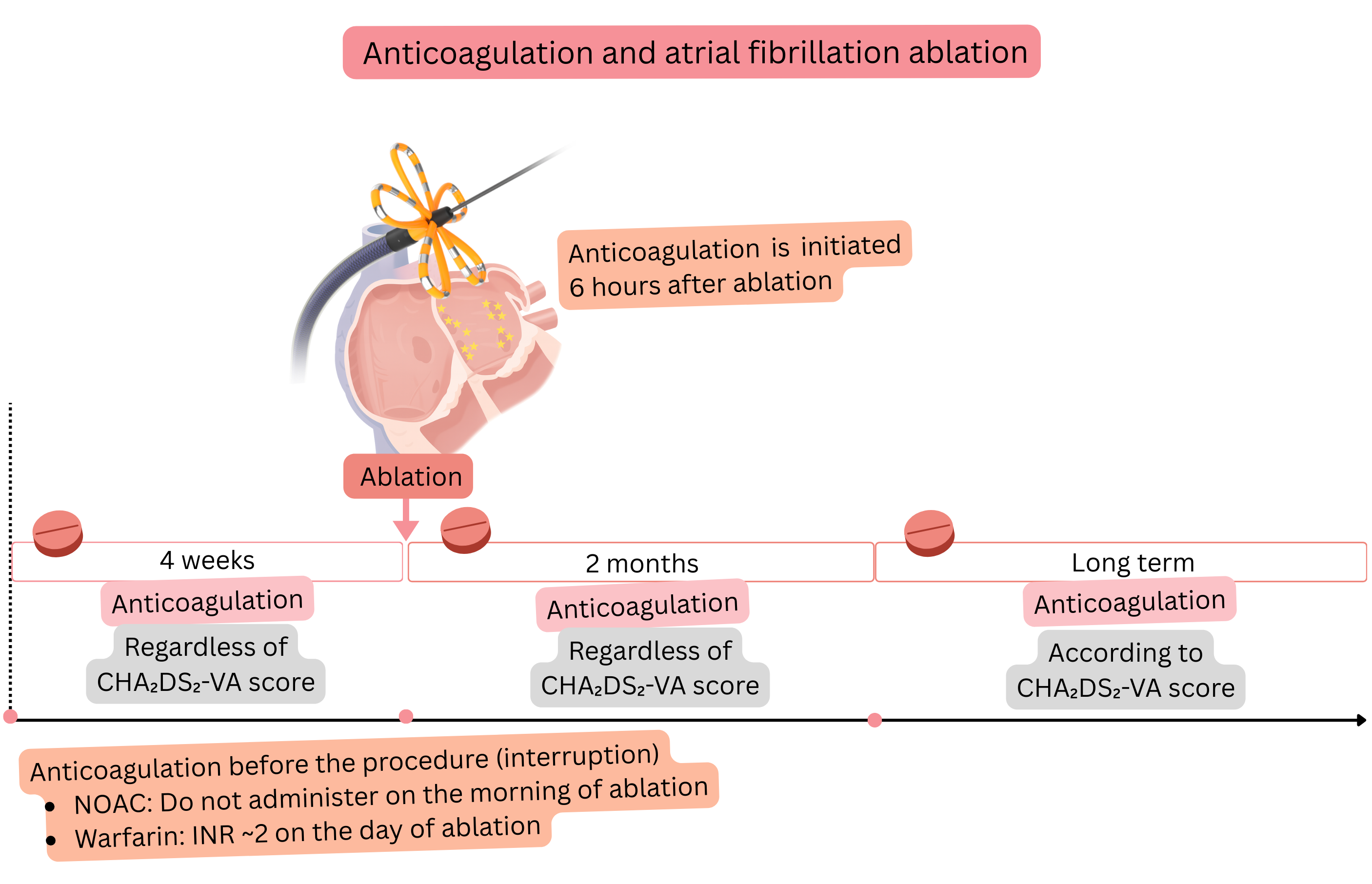 Diagram of anticoagulation management in catheter ablation of atrial fibrillation illustrating the strategy before the procedure, immediately after ablation, during the first 2 months, and long-term decision-making based on the CHA₂DS₂-VA score.