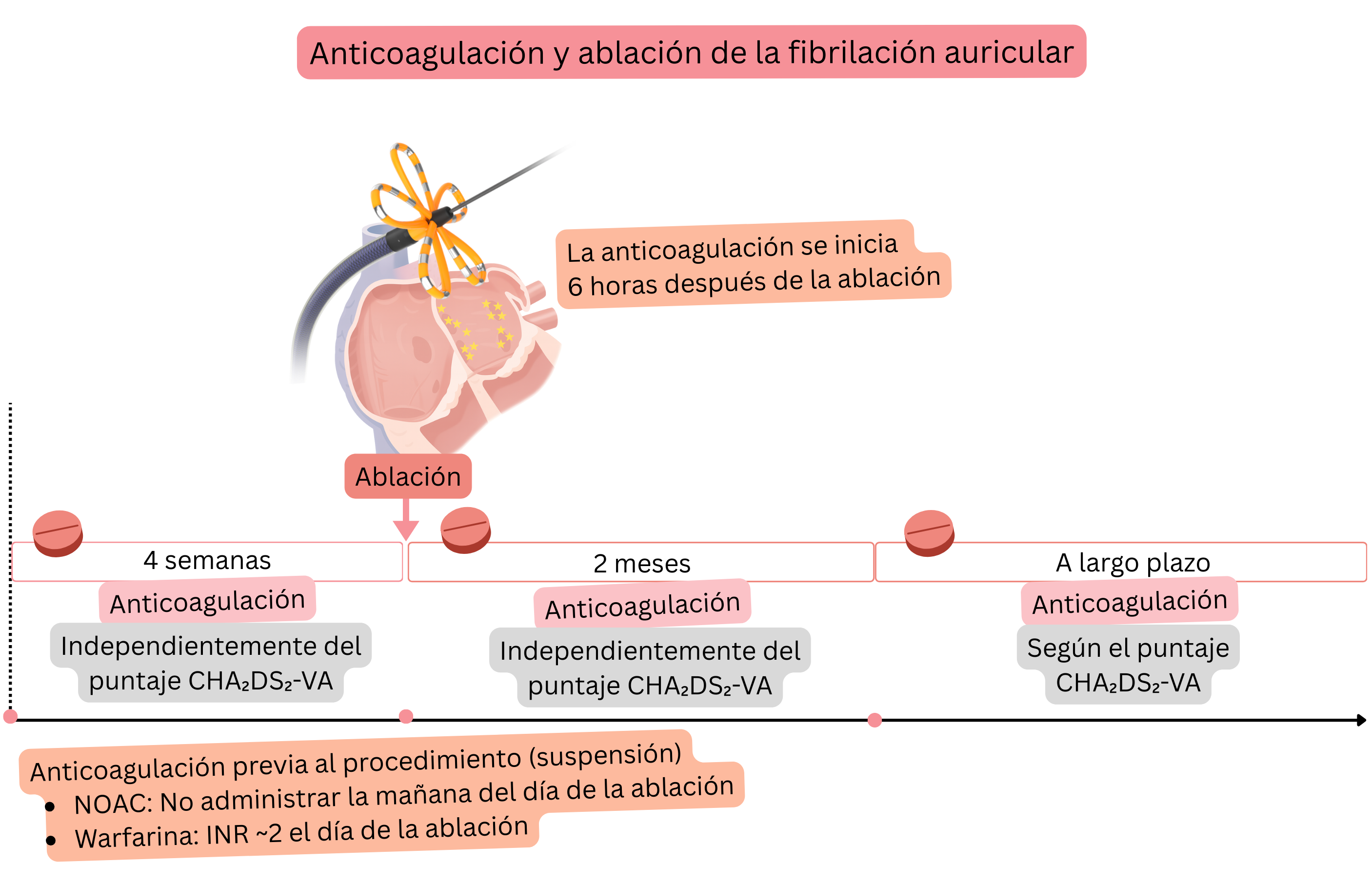 Esquema del manejo de la anticoagulación en la ablación con catéter de la fibrilación auricular que muestra el abordaje previo al procedimiento, el periodo inmediato postablación, los primeros 2 meses y la decisión a largo plazo según la puntuación CHA₂DS₂-VA.