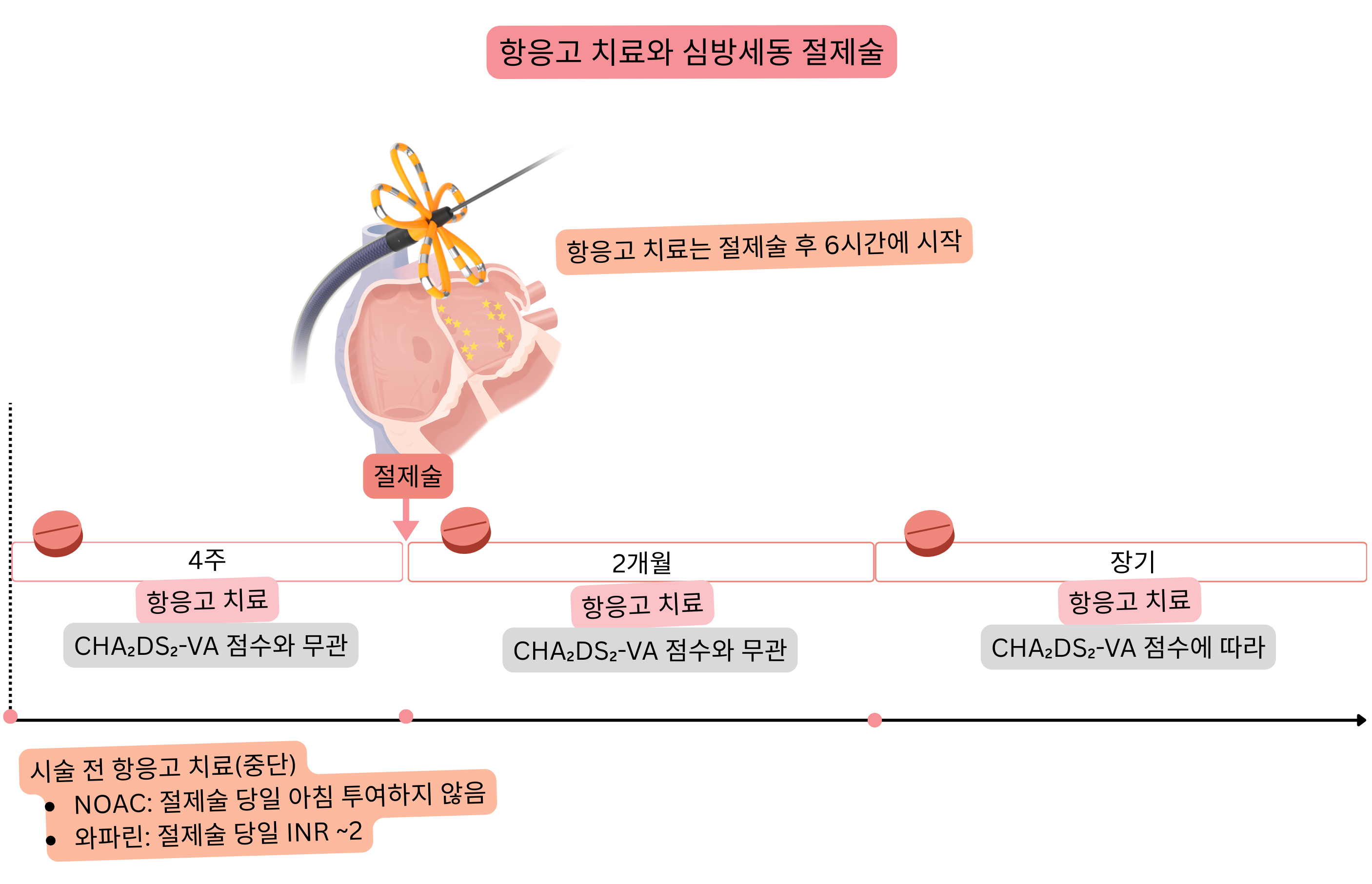 심방세동 카테터 절제술에서의 항응고 치료 관리 도식으로, 시술 전, 절제술 직후, 첫 2개월 동안의 관리와 CHA₂DS₂-VA 점수에 따른 장기적 의사결정을 보여준다.