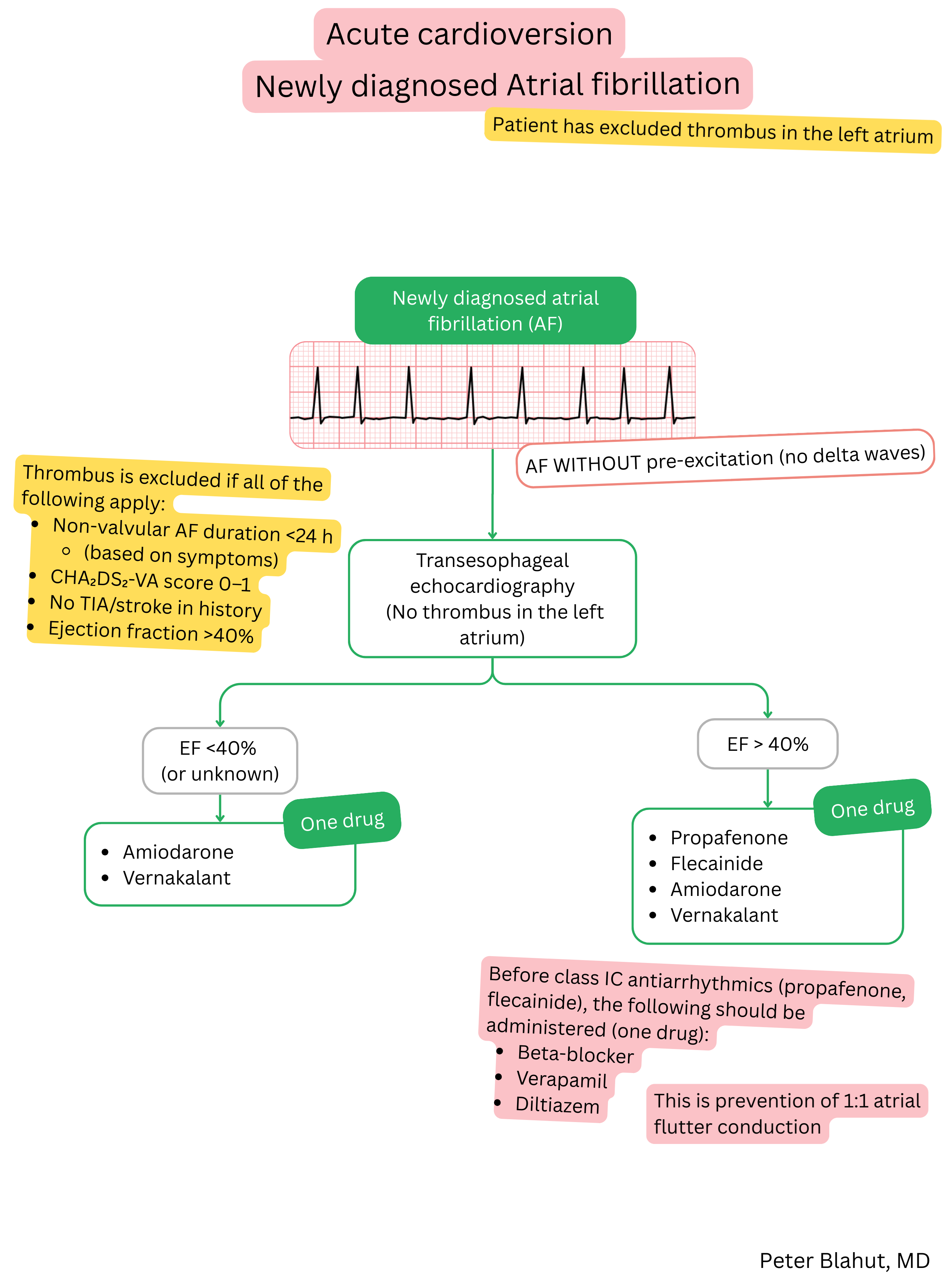 Guideline algorithm for acute cardioversion in newly diagnosed atrial fibrillation without pre-excitation with antiarrhythmic selection based on left ventricular ejection fraction.