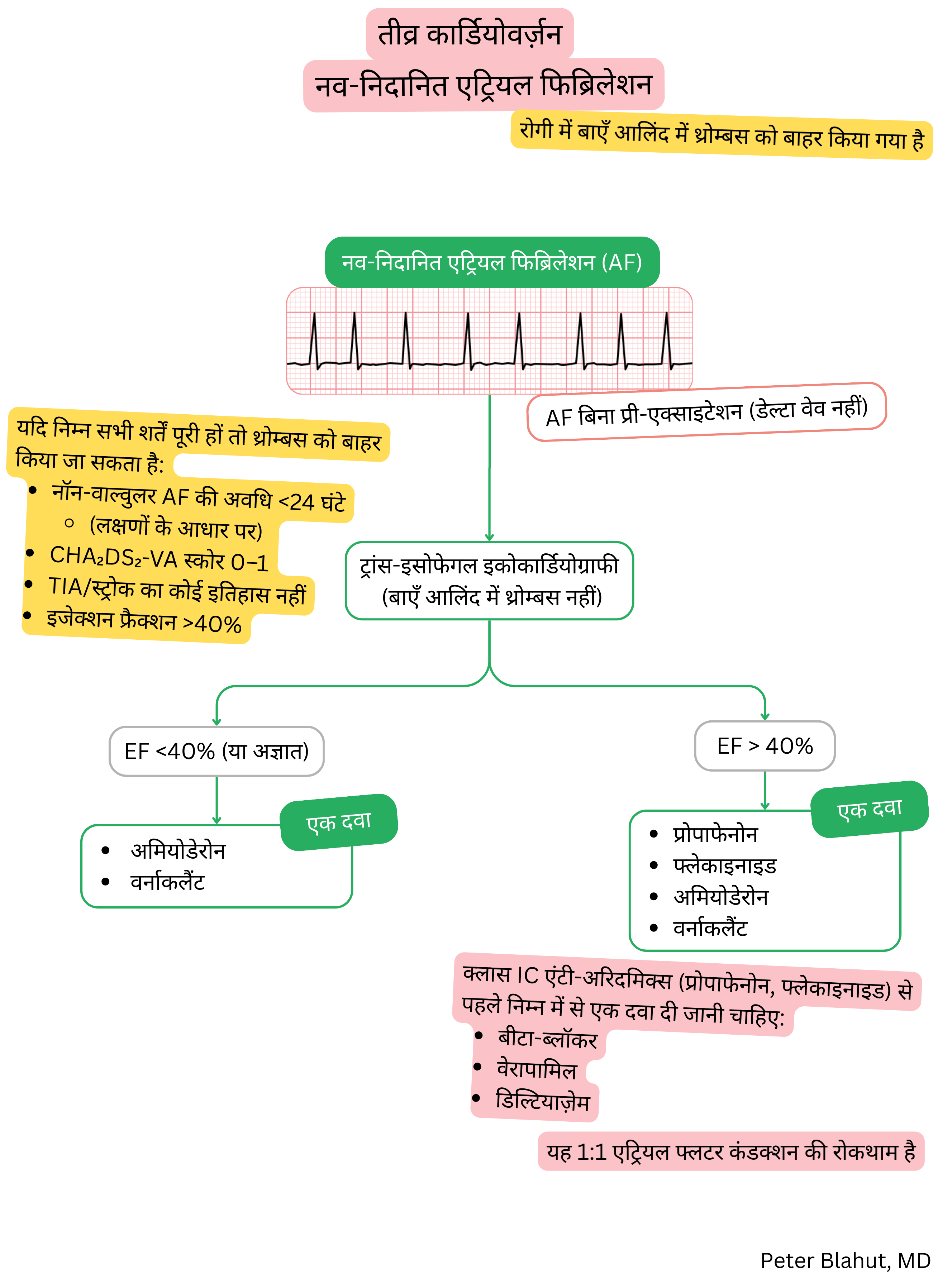 नव-निदानित बिना प्री-एक्साइटेशन एट्रियल फाइब्रिलेशन में तीव्र कार्डियोवर्जन हेतु दिशानिर्देश एल्गोरिदम, जिसमें बाएं वेंट्रिकुलर इजेक्शन फ्रैक्शन के आधार पर एंटीएरिदमिक चयन शामिल है।