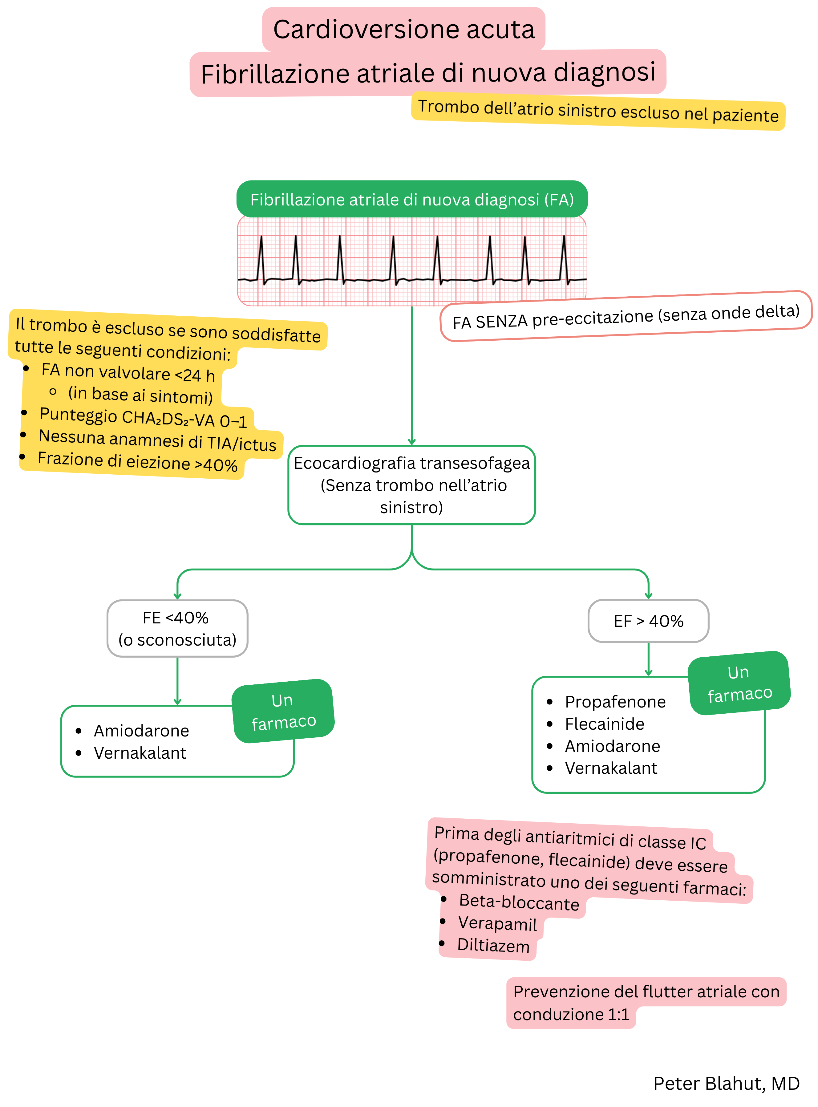 Algoritmo di raccomandazioni per cardioversione acuta nella fibrillazione atriale di nuova diagnosi senza preeccitazione con selezione degli antiaritmici in base alla frazione di eiezione ventricolare sinistra.