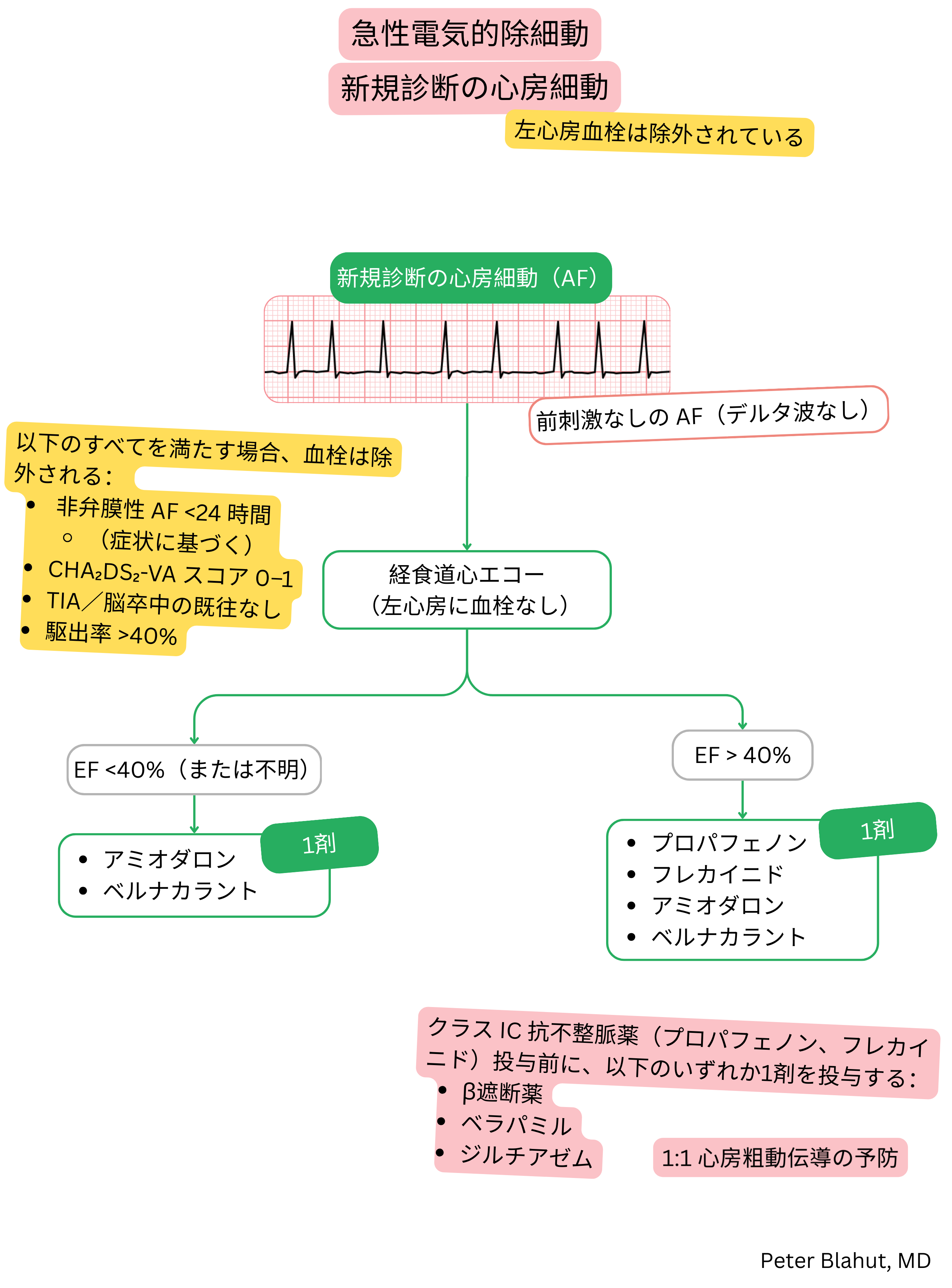 前興奮を伴わない新規診断の心房細動に対する急性カルディオバージョンの推奨アルゴリズムで、左室駆出率に基づく抗不整脈薬選択を含む。