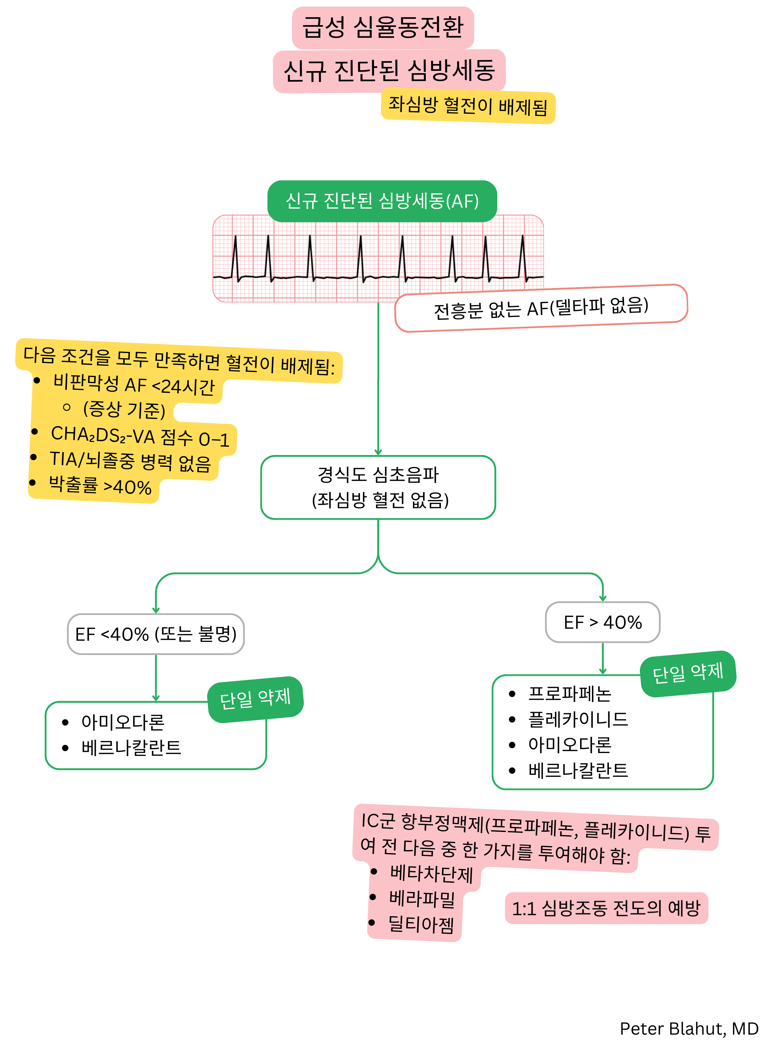 전흥분이 없는 새로 진단된 심방세동에서 급성 심율동전환을 위한 권고 알고리즘으로 좌심실 박출률에 따른 항부정맥제 선택을 포함한다.