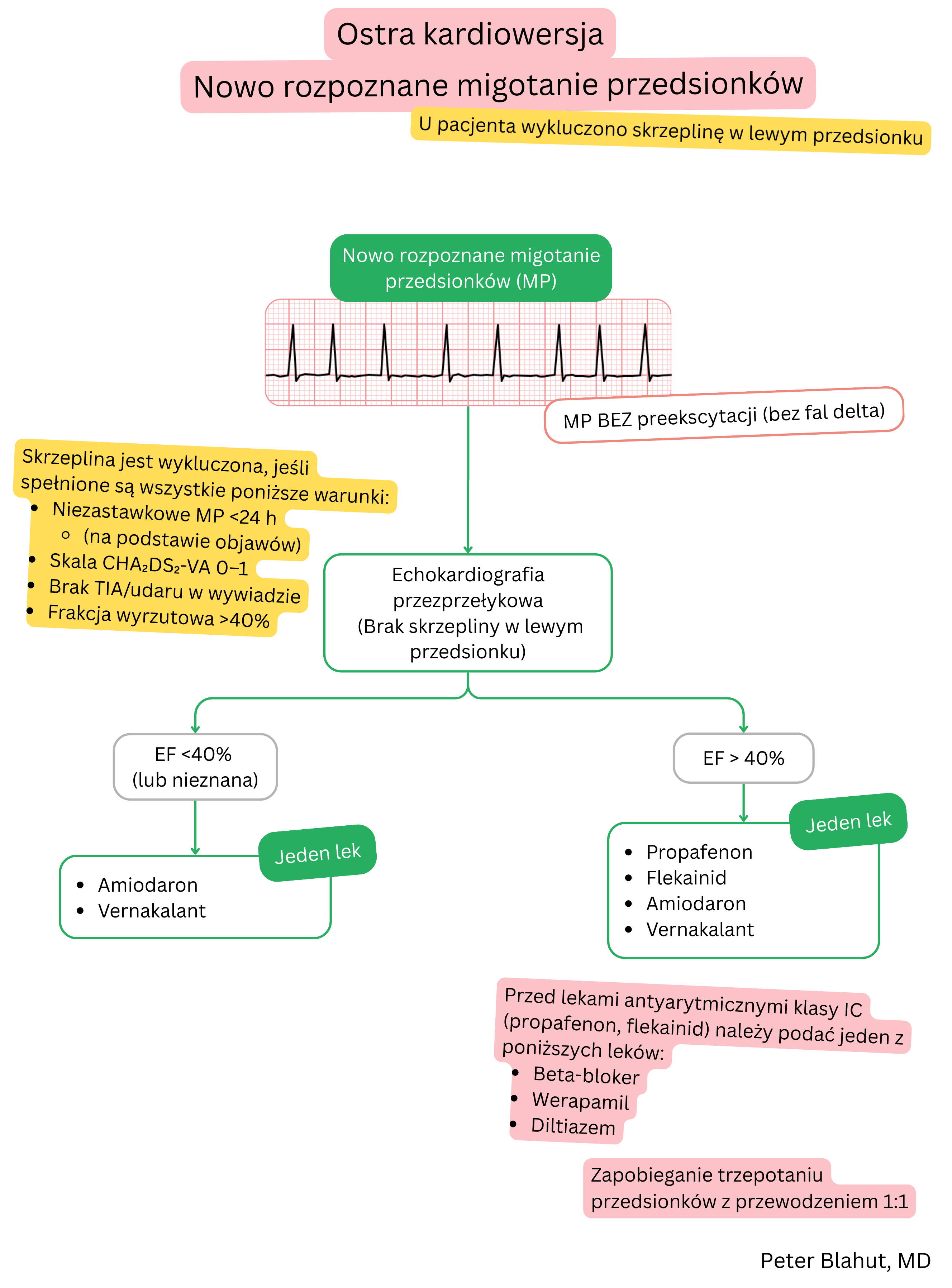Algorytm zaleceń dotyczących ostrej kardiowersji w świeżo rozpoznanym migotaniu przedsionków bez preekscytacji z doborem leków antyarytmicznych według frakcji wyrzutowej lewej komory.