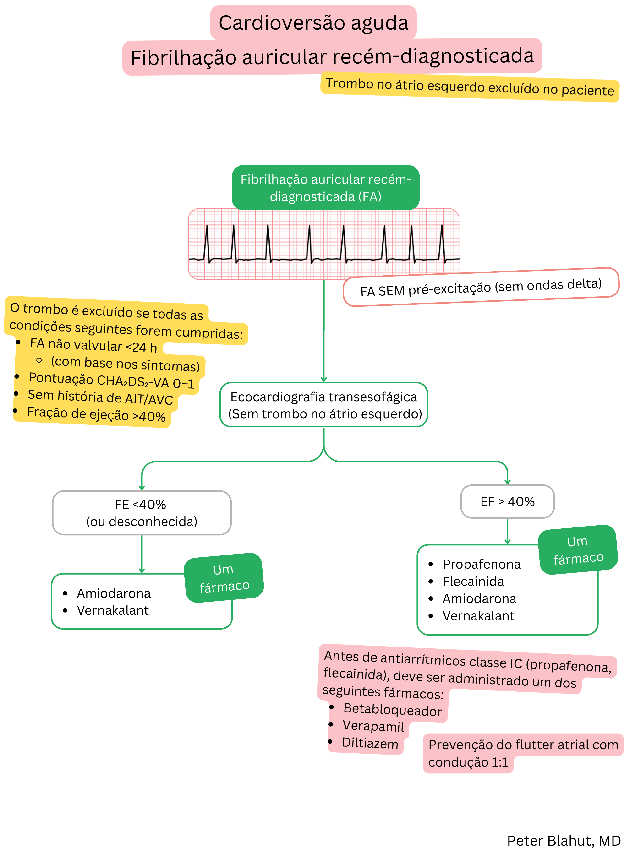 Algoritmo de recomendações para cardioversão aguda na fibrilação atrial recém-diagnosticada sem pré-excitação com seleção de antiarrítmicos conforme a fração de ejeção do ventrículo esquerdo.