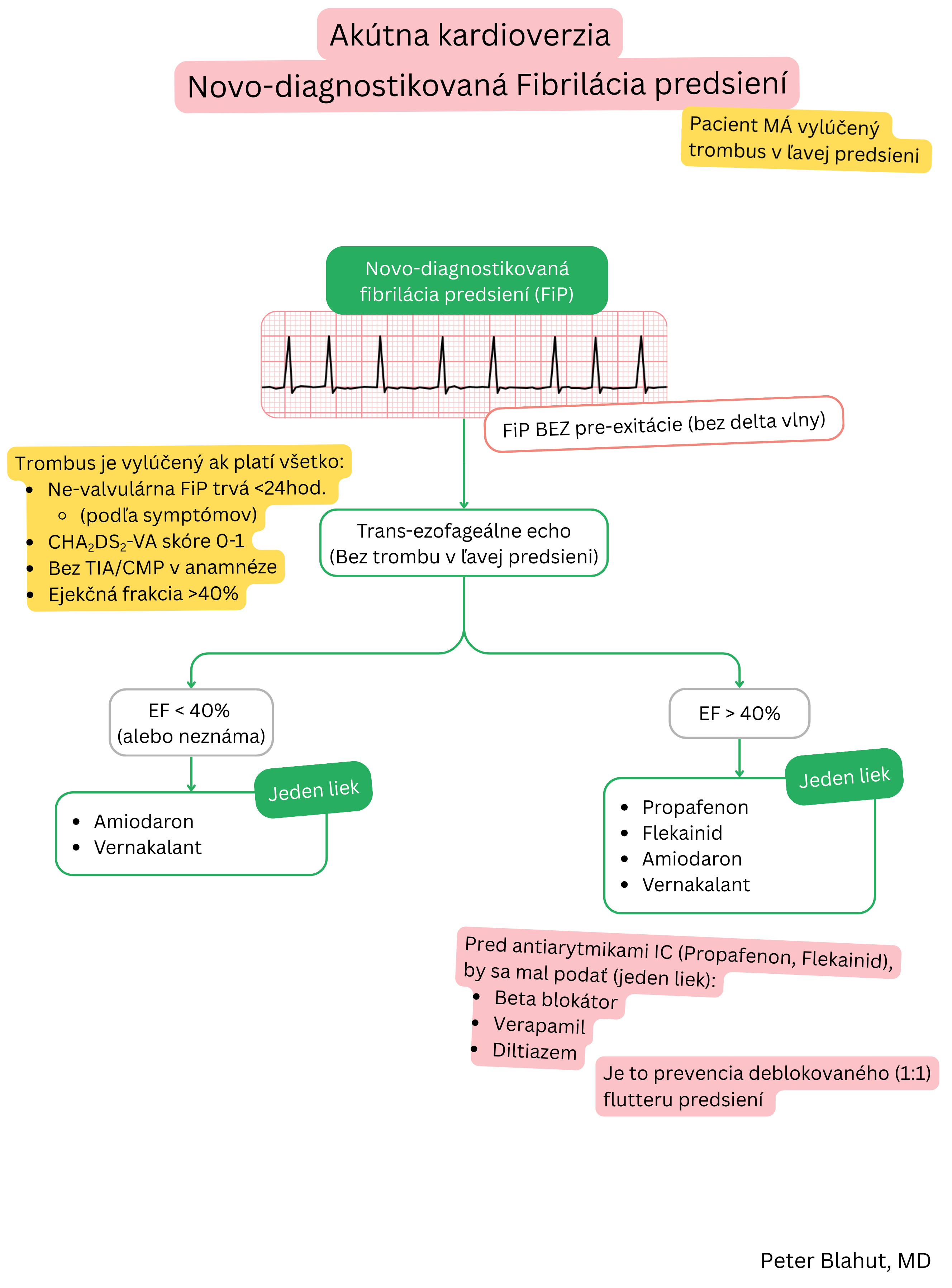 Schéma odporúčaní pre akútnu kardioverziu pri novodiagnostikovanej fibrilácii predsiení bez preexcitácie s výberom antiarytmík podľa ejekčnej frakcie ľavej komory.