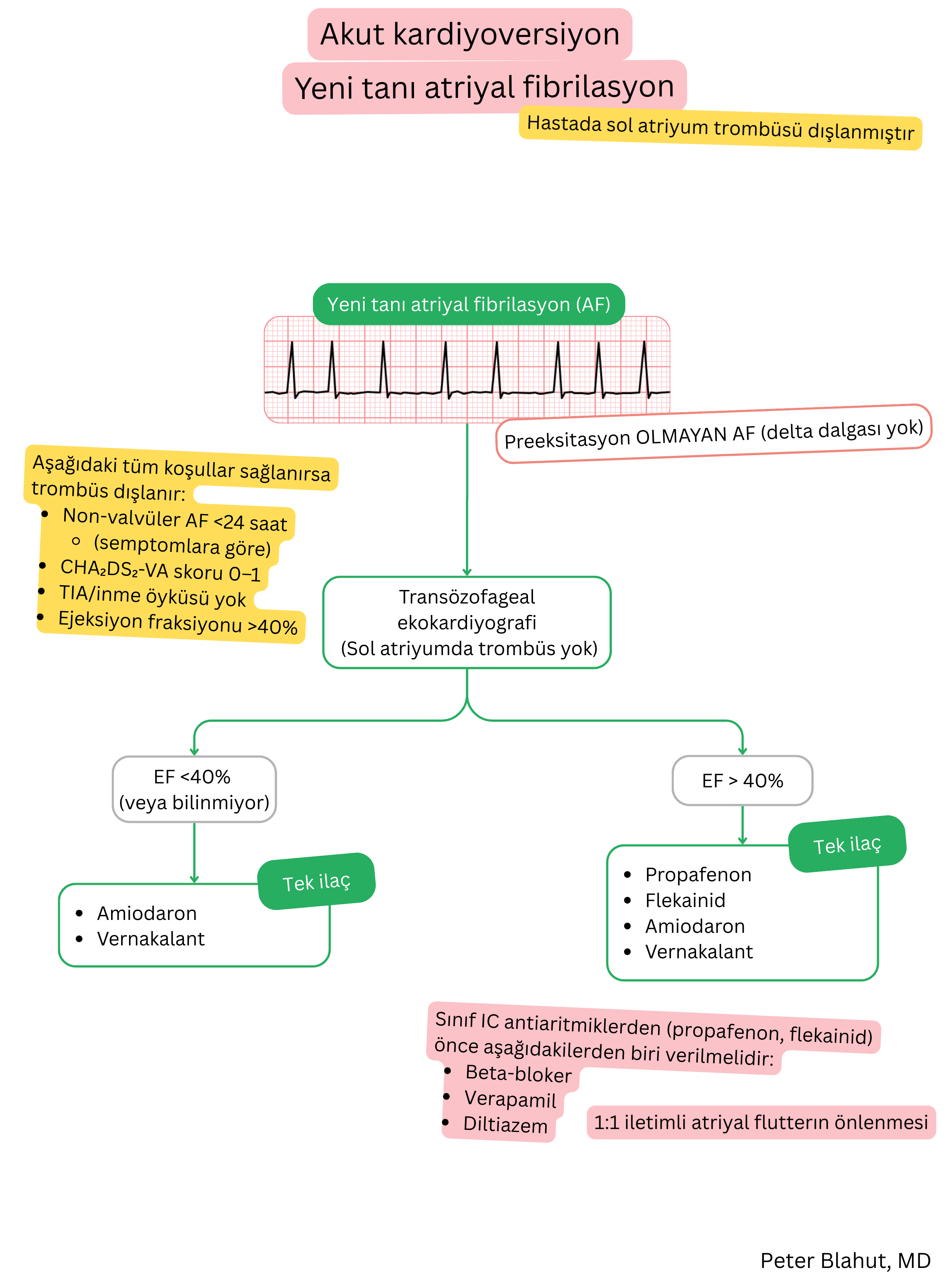 Preeksitasyon olmayan yeni tanı atriyal fibrilasyonda akut kardiyoversiyon için öneri algoritması; sol ventrikül ejeksiyon fraksiyonuna göre antiaritmik seçimini içerir.