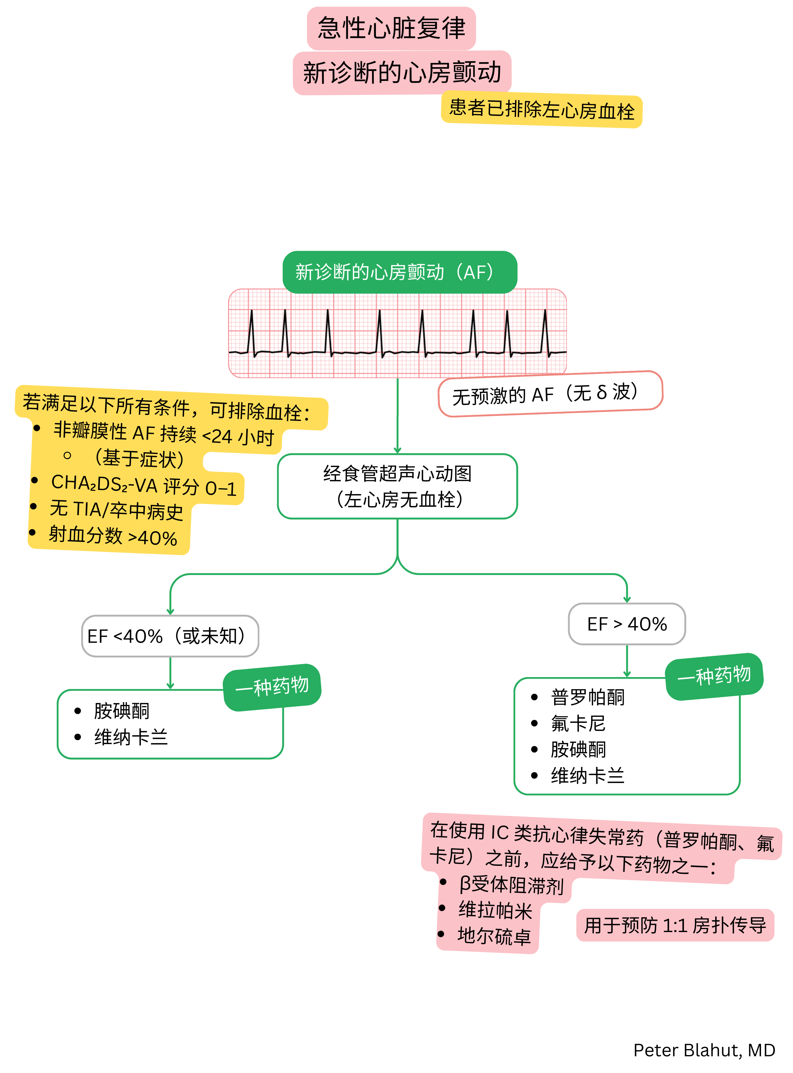 新诊断无预激的房颤急性复律推荐流程，根据左室射血分数选择抗心律失常药物。