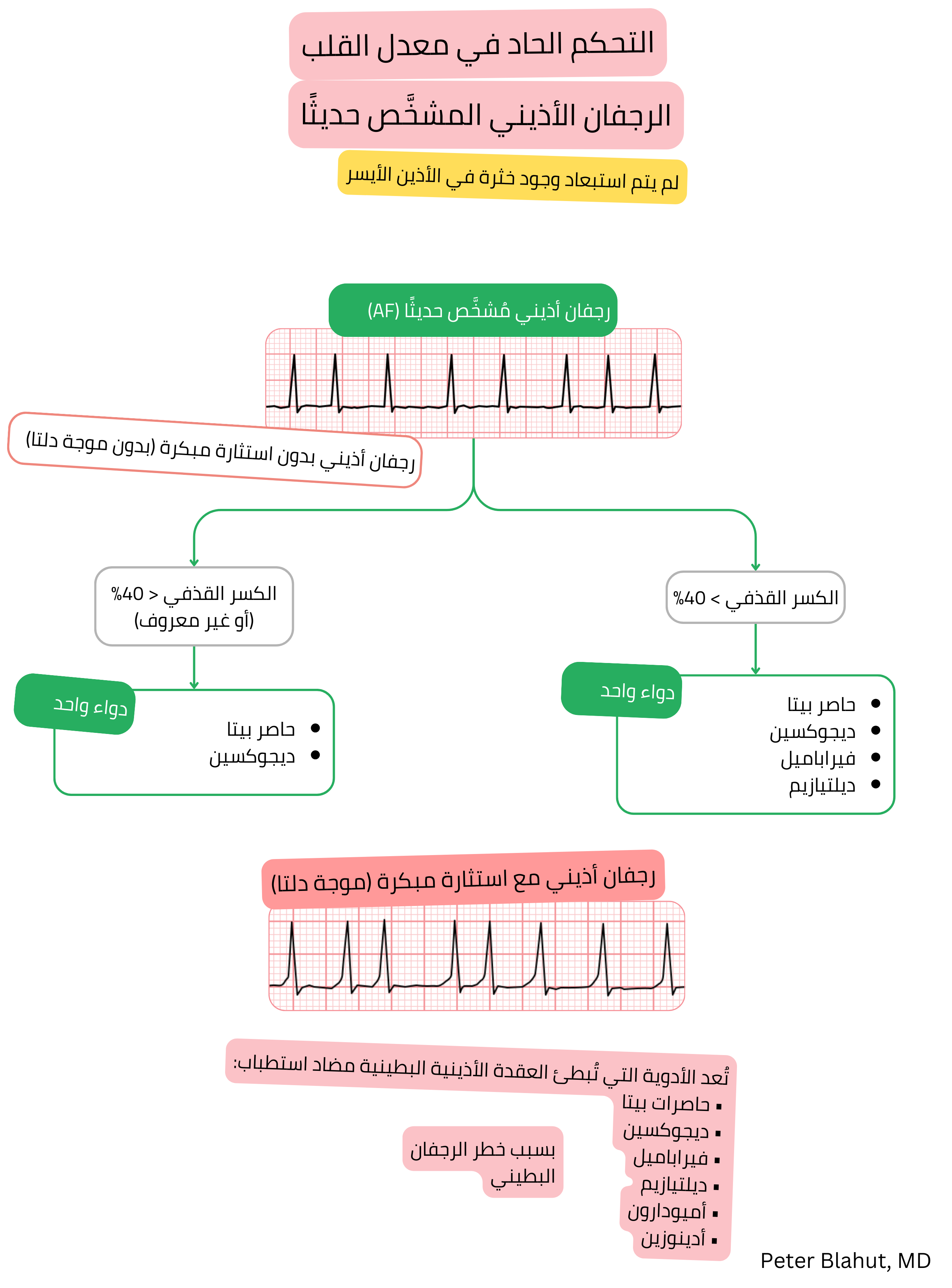 خوارزمية توصيات للسيطرة الحادة على معدل القلب في الرجفان الأذيني حديث التشخيص مع اختيار العلاج وفق الكسر القذفي ومضاد استطباب لحاصرات العقدة الأذينية البطينية في حالة الاستثارة المسبقة.