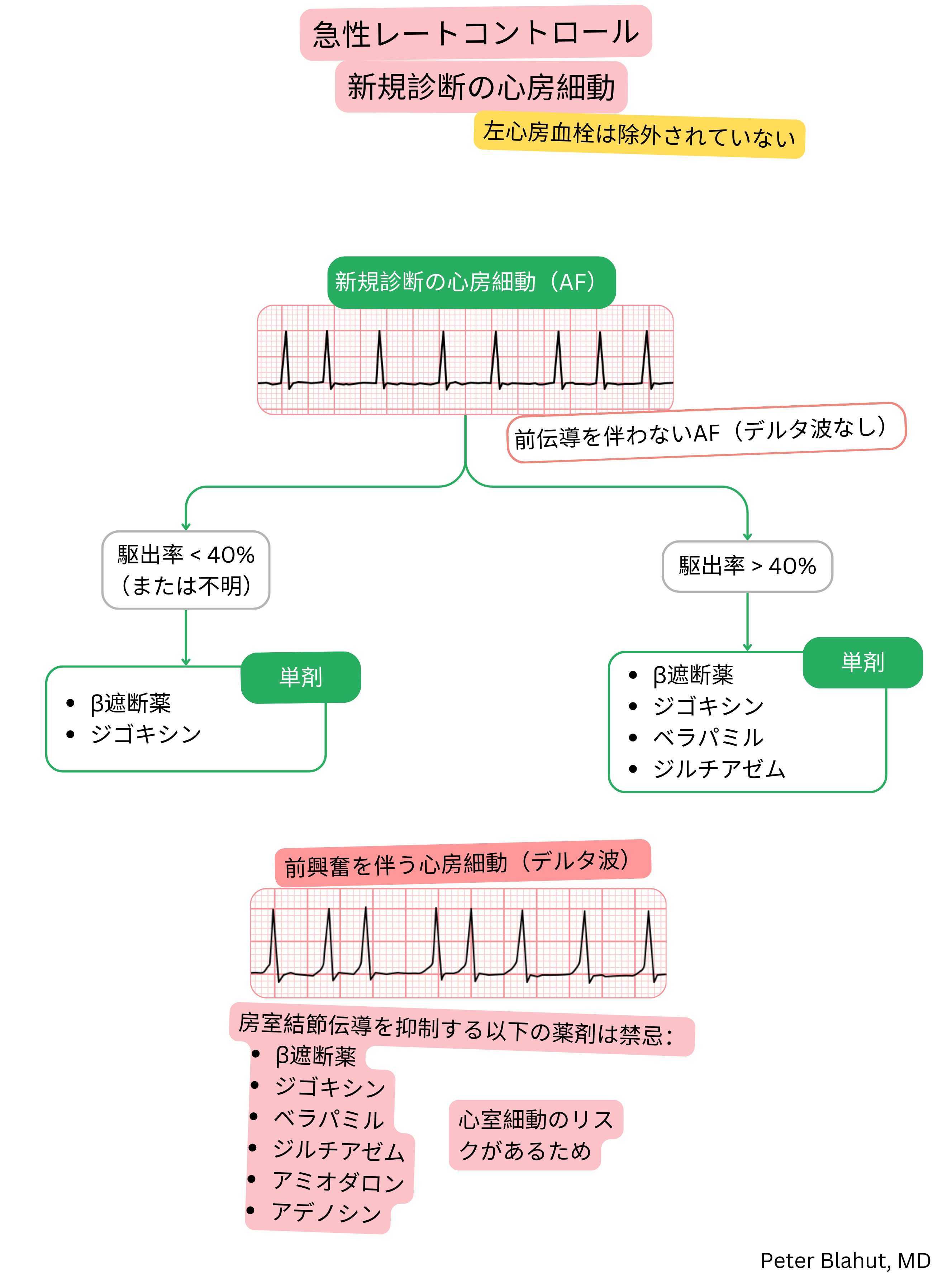 新規診断の心房細動における急性心拍数管理の推奨アルゴリズムで、駆出率に基づく治療選択および前興奮時の房室結節遮断薬禁忌を含む。