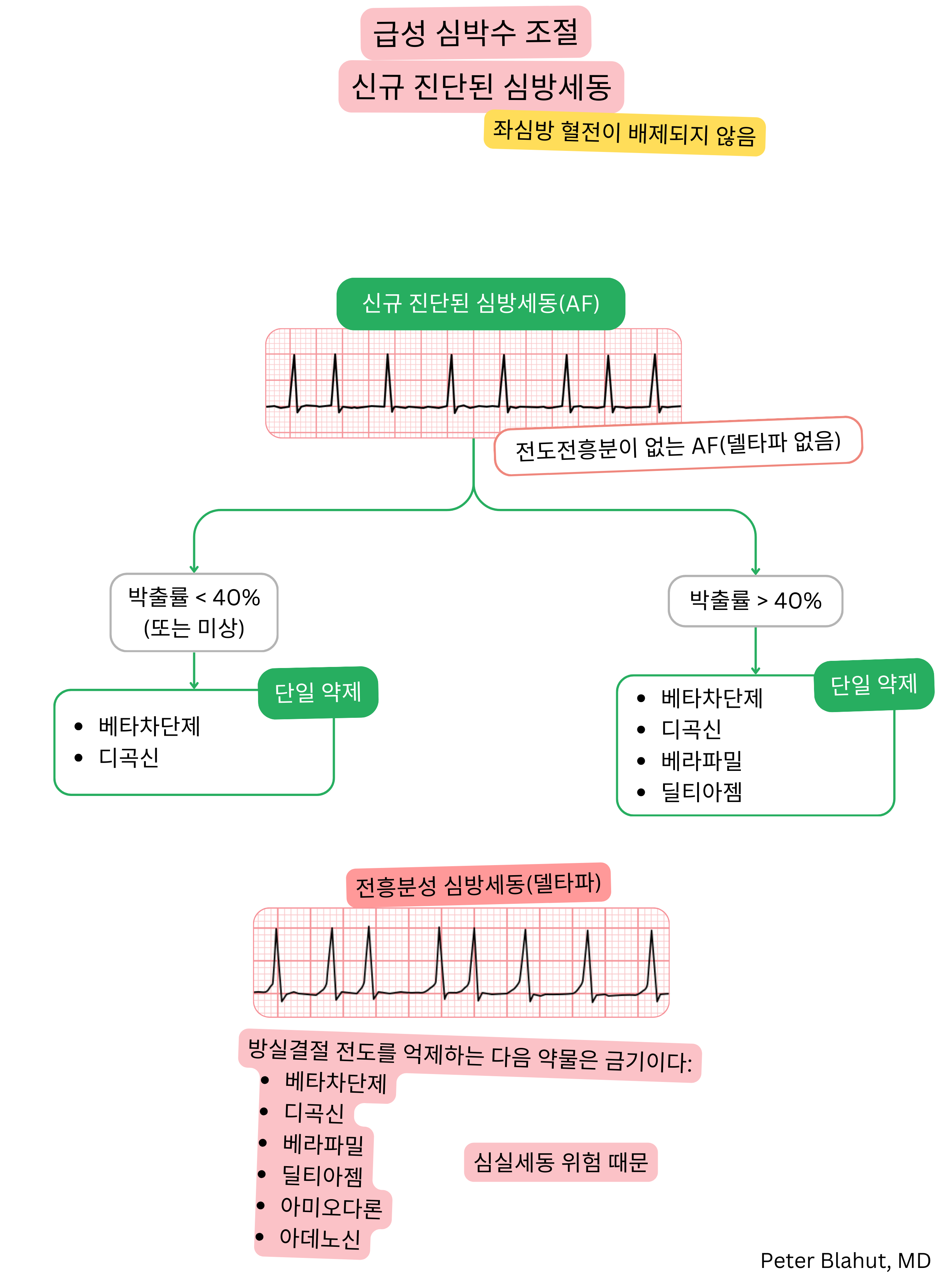 새로 진단된 심방세동에서 급성 심박수 조절을 위한 권고 알고리즘으로 박출률에 따른 치료 선택과 전흥분 시 AV 결절 차단제 금기를 포함한다.