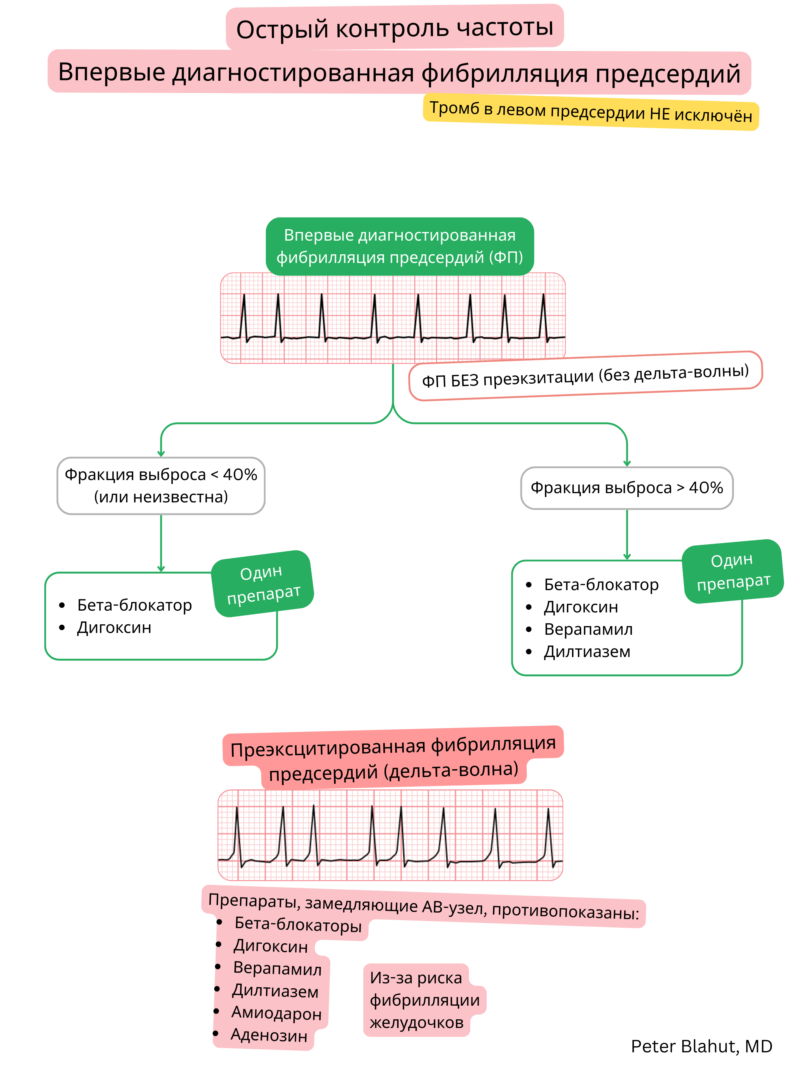 Алгоритм рекомендаций по острому контролю частоты при впервые диагностированной фибрилляции предсердий с выбором терапии с учетом фракции выброса и противопоказанием к блокаторам АВ-узла при предвозбуждении.