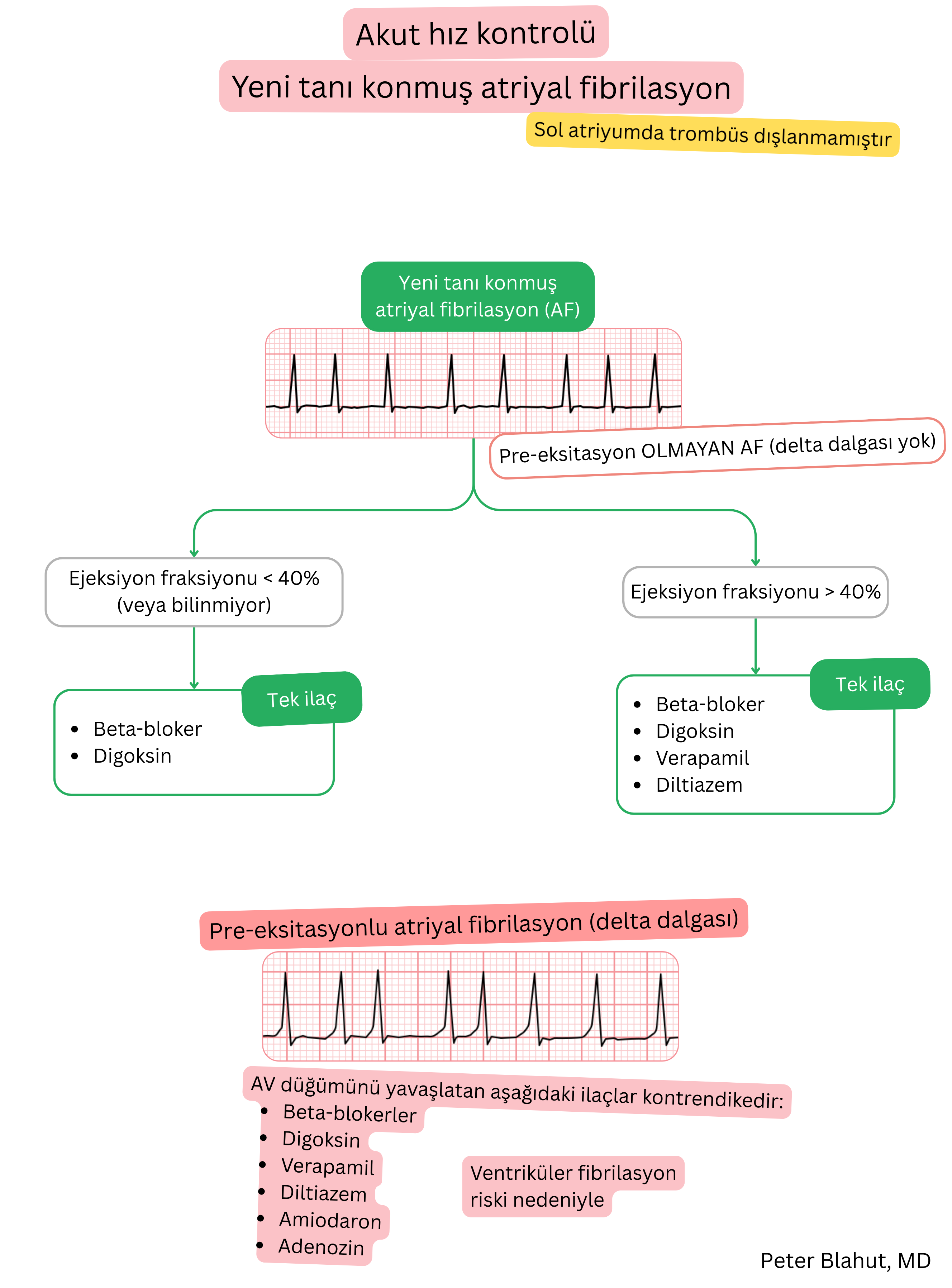 Yeni tanı atriyal fibrilasyonda akut hız kontrolü için öneri algoritması; ejeksiyon fraksiyonuna göre tedavi seçimi ve preeksitasyonda AV nodal blokerlerin kontrendikasyonunu içerir.