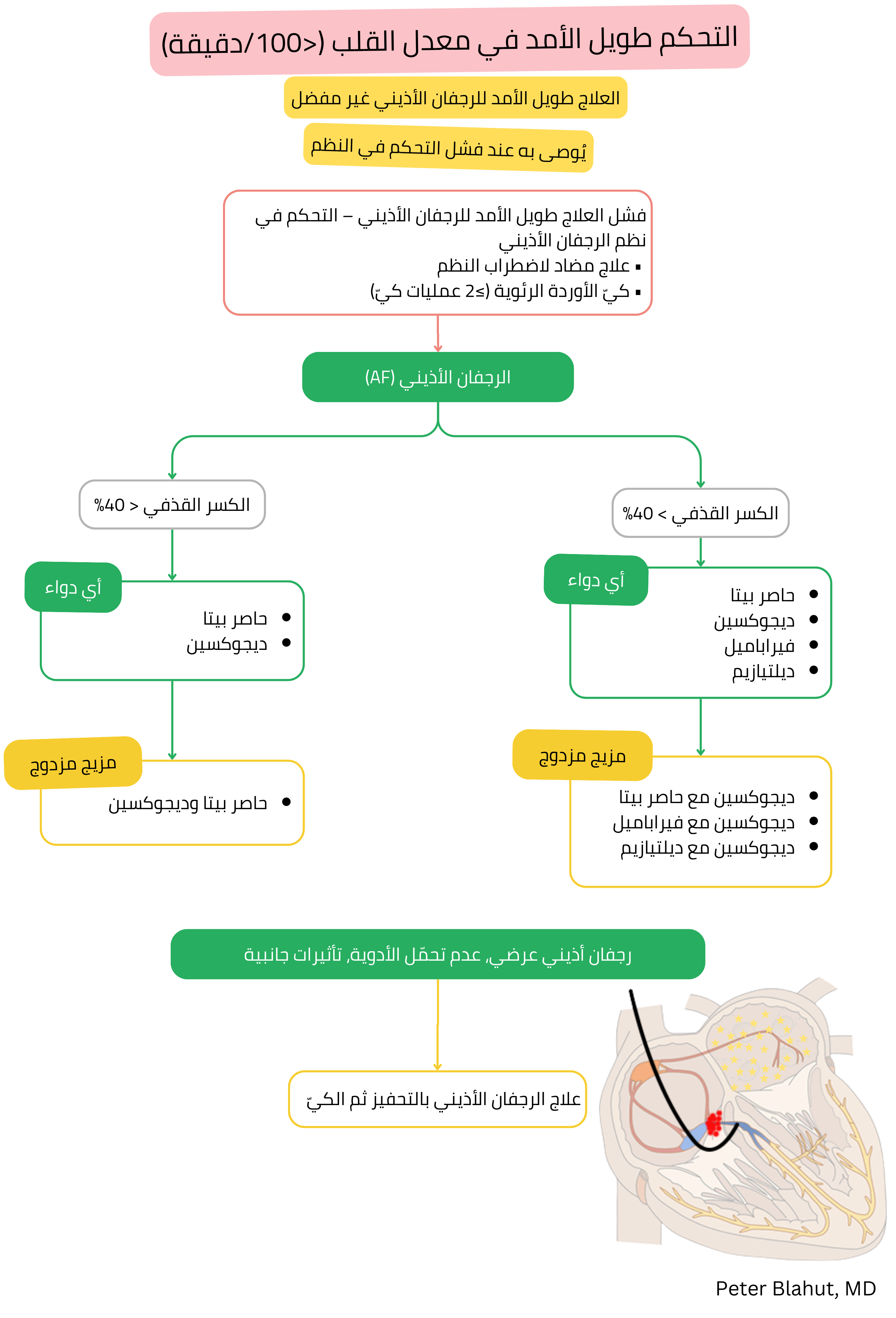 خوارزمية توصيات للسيطرة طويلة الأمد على معدل القلب في الرجفان الأذيني مع اختيار العلاج الدوائي وفق الكسر القذفي للبطين الأيسر واستطباب استراتيجية التحفيز مع الاستئصال.