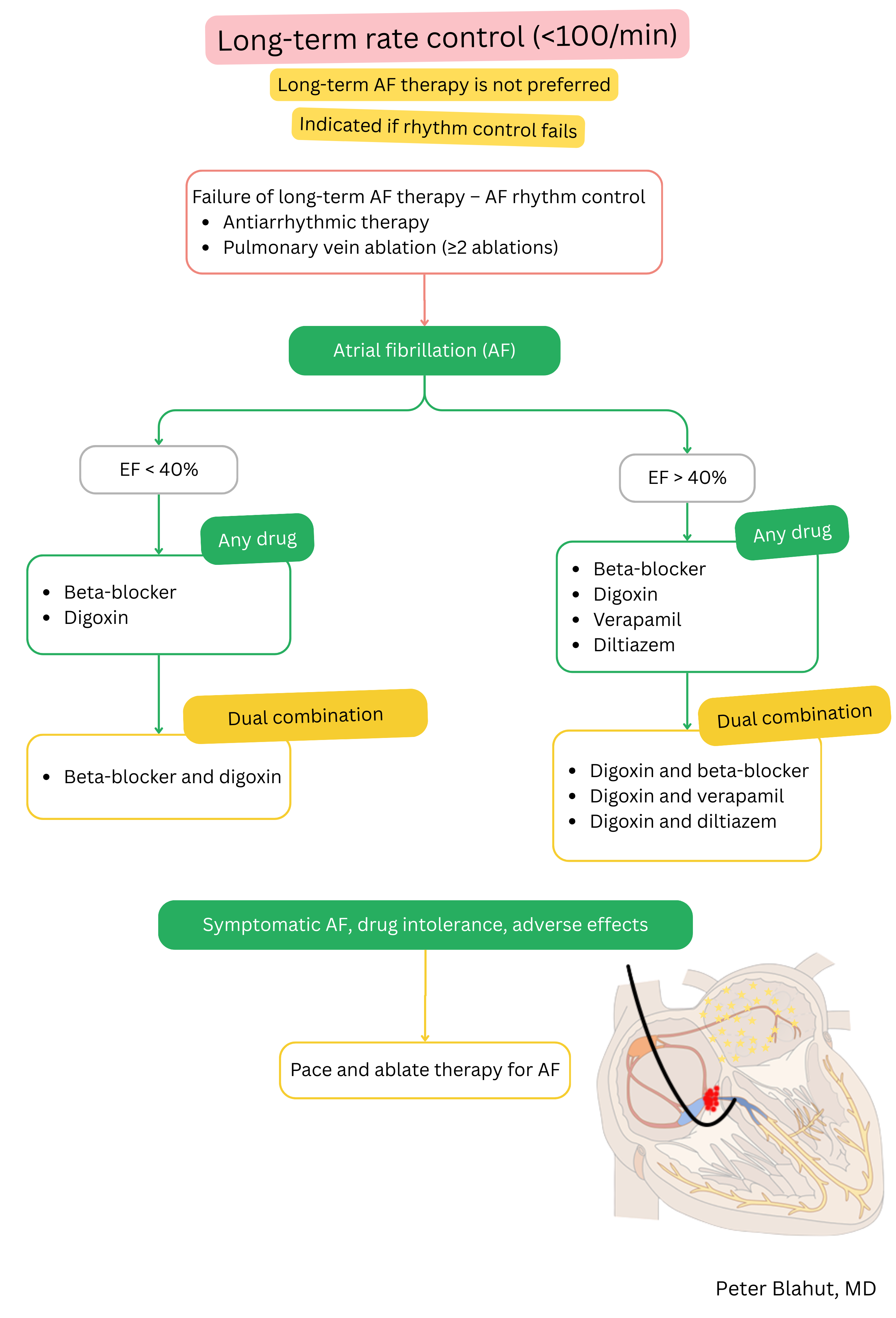 Guideline algorithm for long-term rate control in atrial fibrillation with pharmacotherapy selection based on left ventricular ejection fraction and indication for pace-and-ablate strategy.