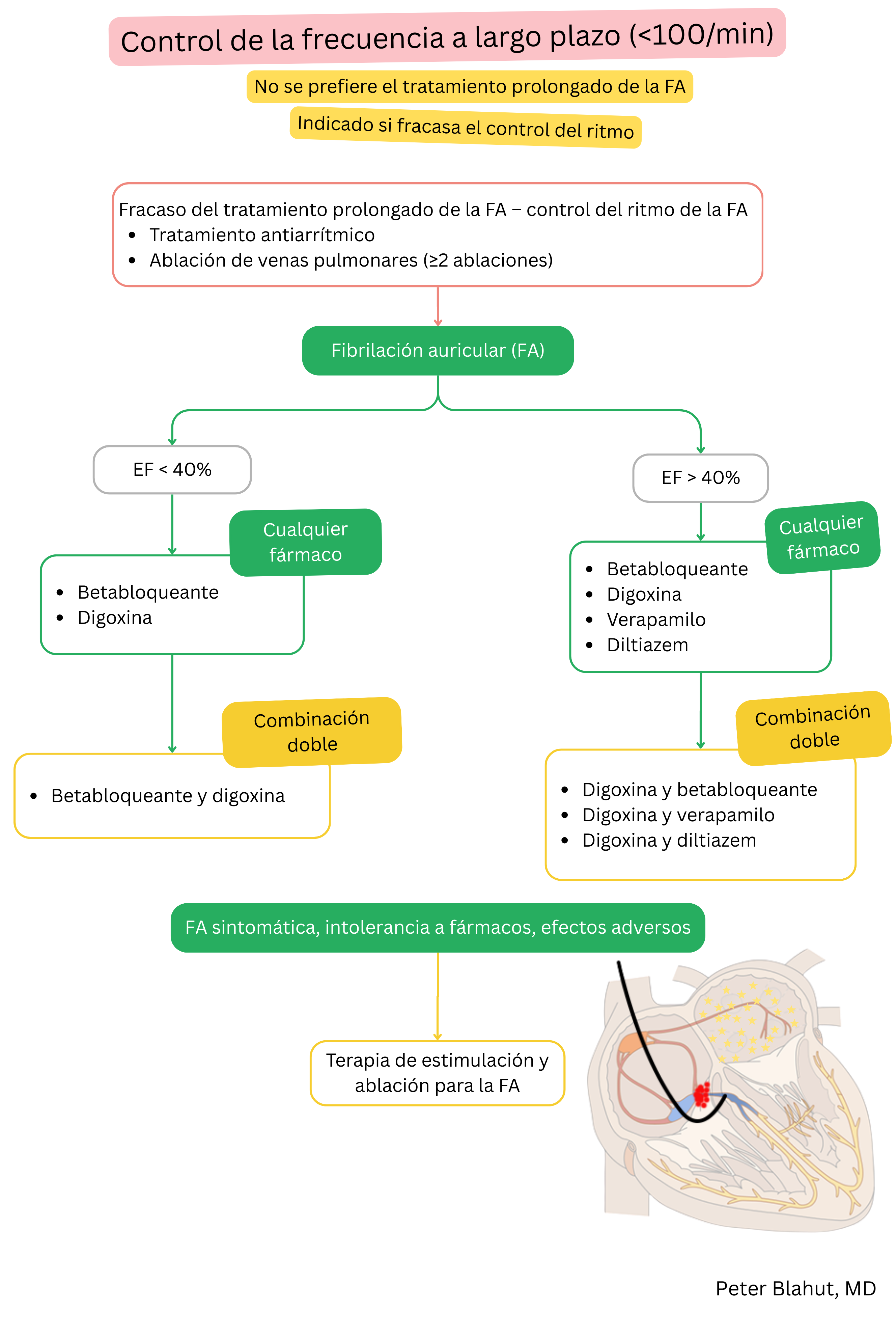 Algoritmo de recomendaciones para el control a largo plazo de la frecuencia en fibrilación auricular con selección farmacológica según la fracción de eyección ventricular izquierda e indicación de la estrategia pace and ablate.