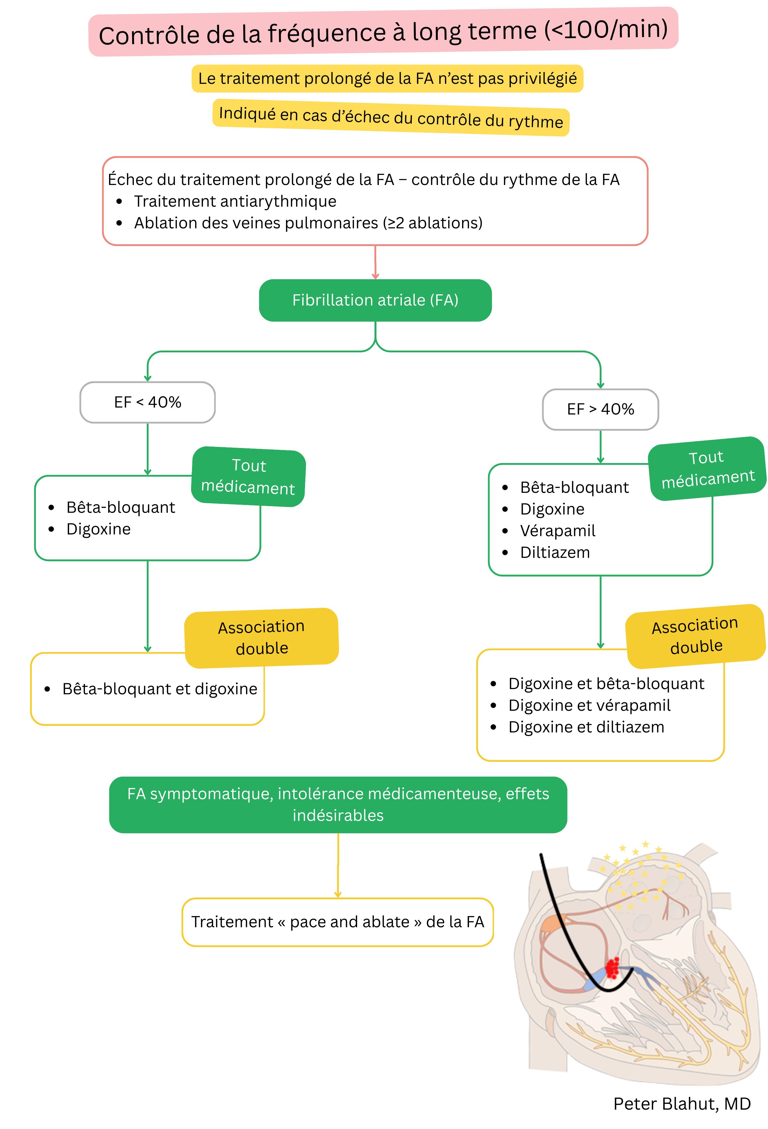 Algorithme de recommandations pour le contrôle de la fréquence à long terme de la fibrillation auriculaire avec choix thérapeutique selon la fraction d’éjection ventriculaire gauche et indication de la stratégie pace and ablate.